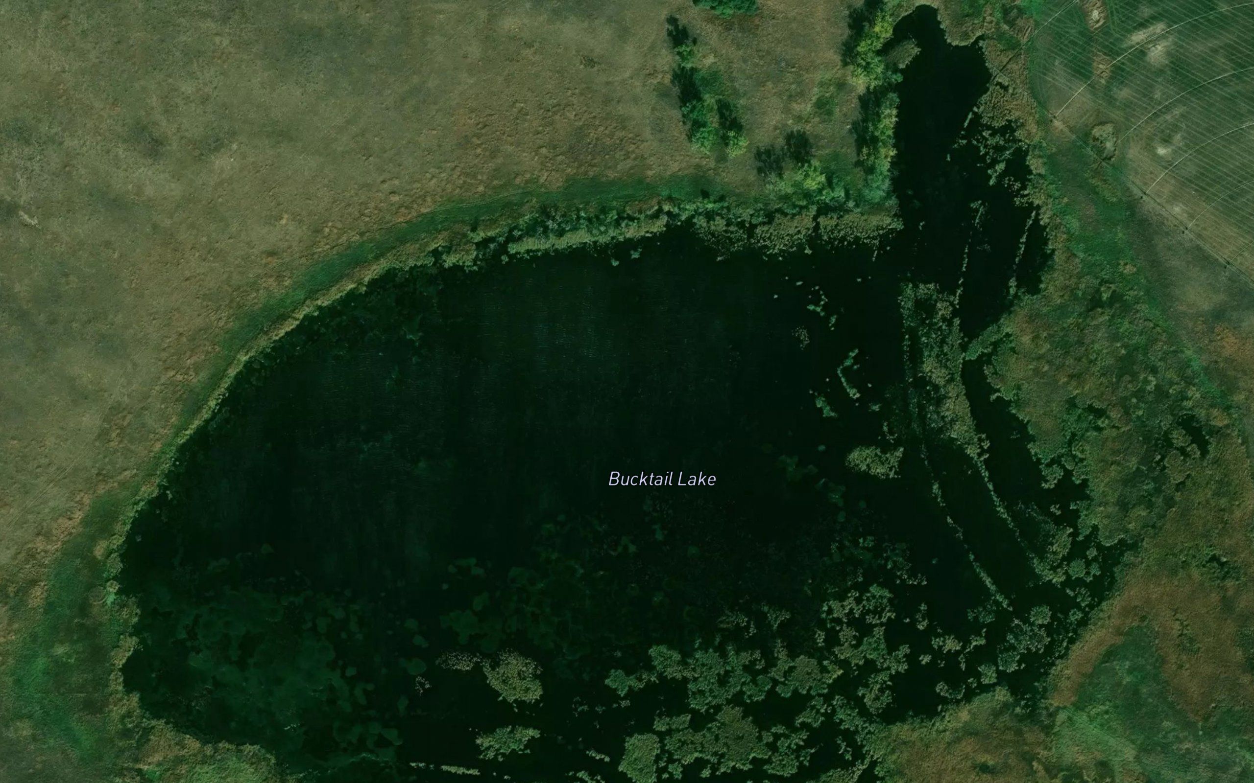 Bucktail Lake