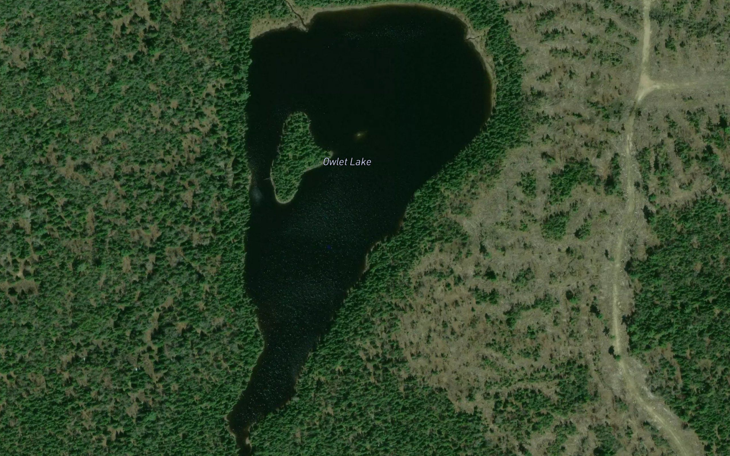 Owlet Lake