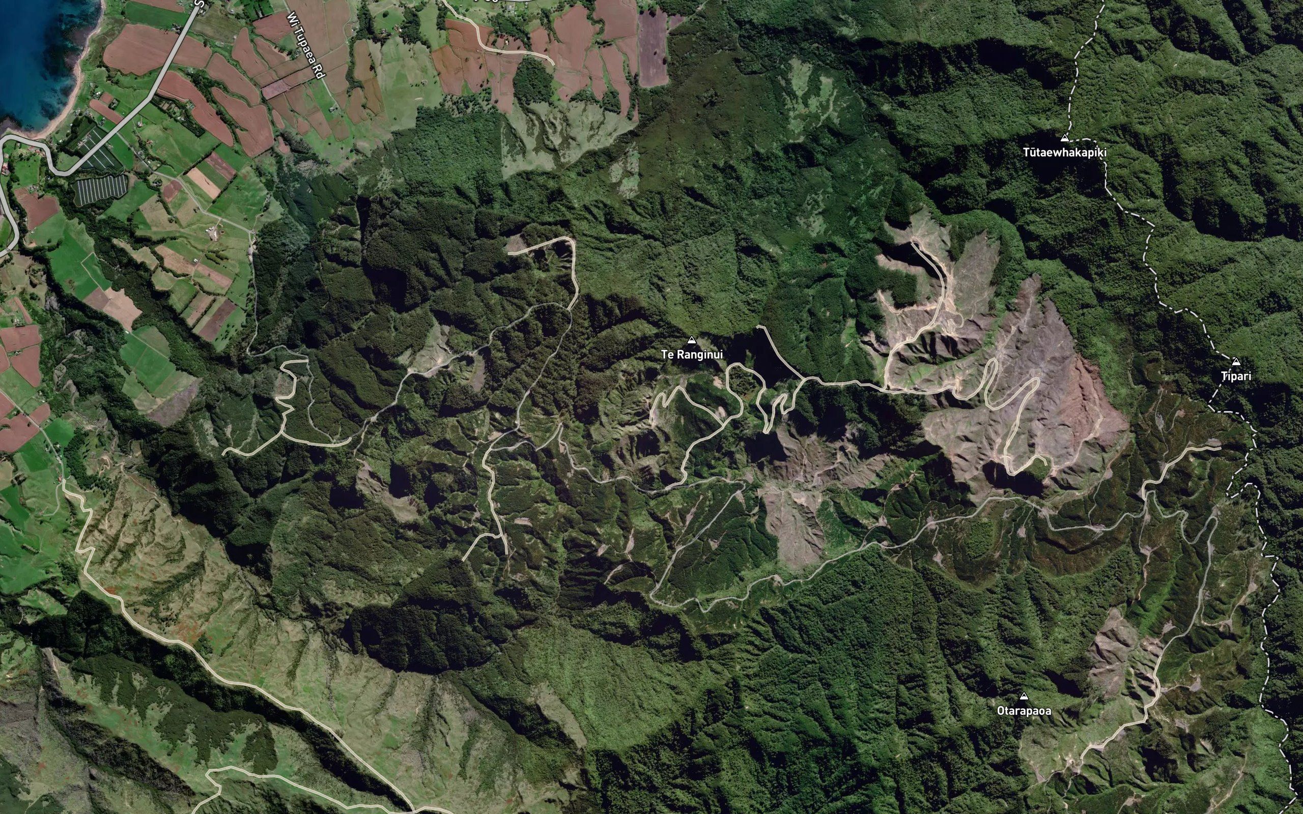 Te Kahika Stream