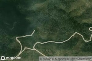 Leonardi Spring