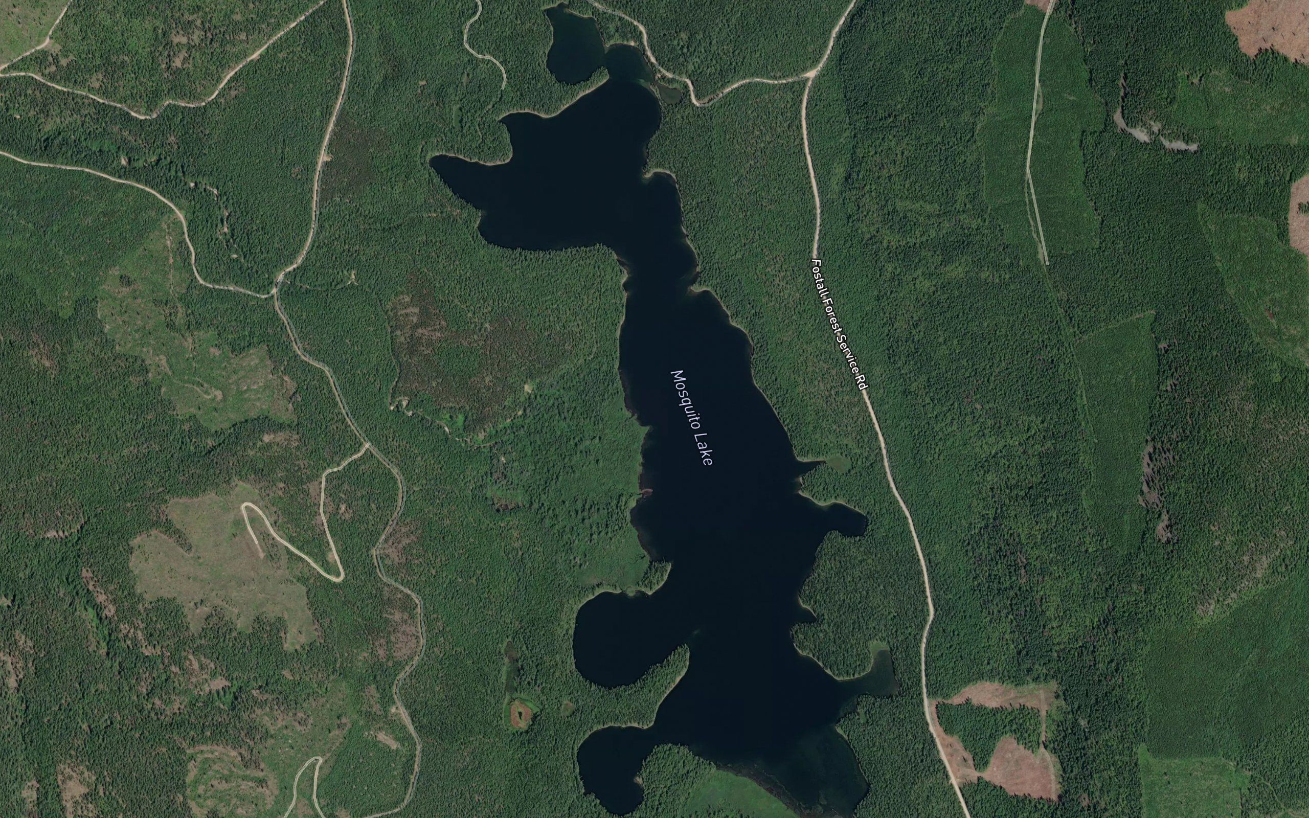 Mosquito Lake