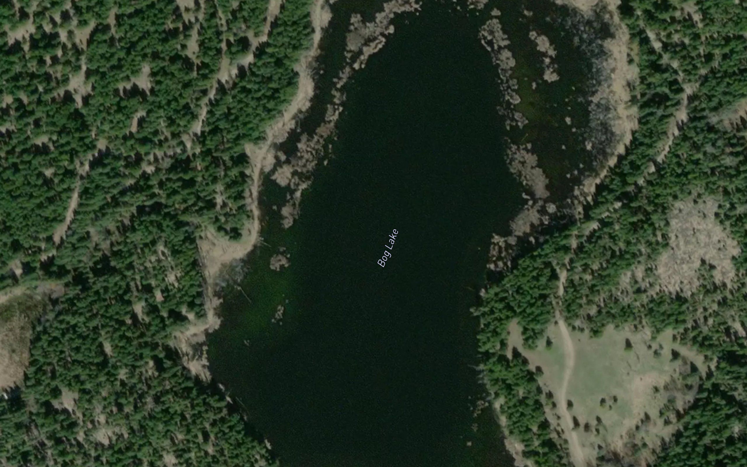 Bog Lake