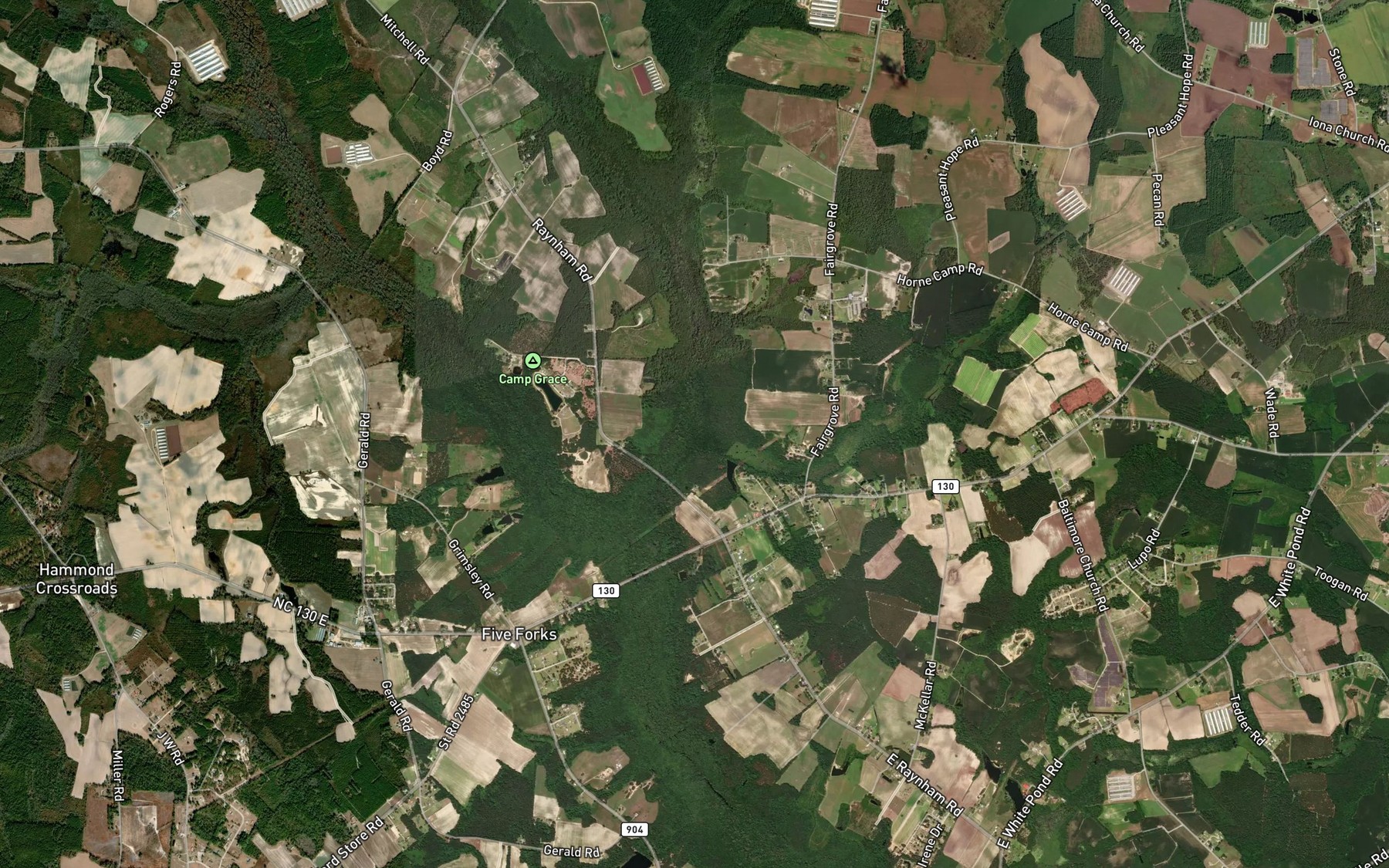 Satellite map of the Horn Camp Swamp