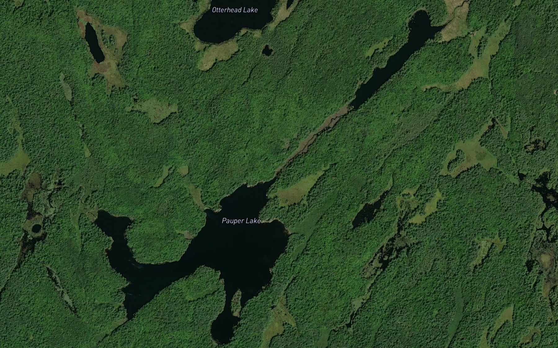 Satellite map of the Pauper Lake