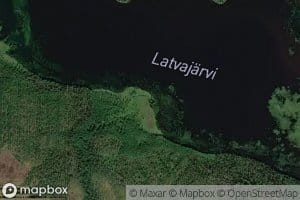 Kivioja