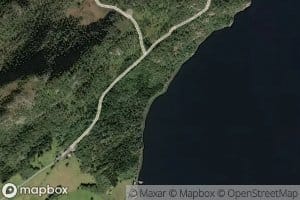 Buvika