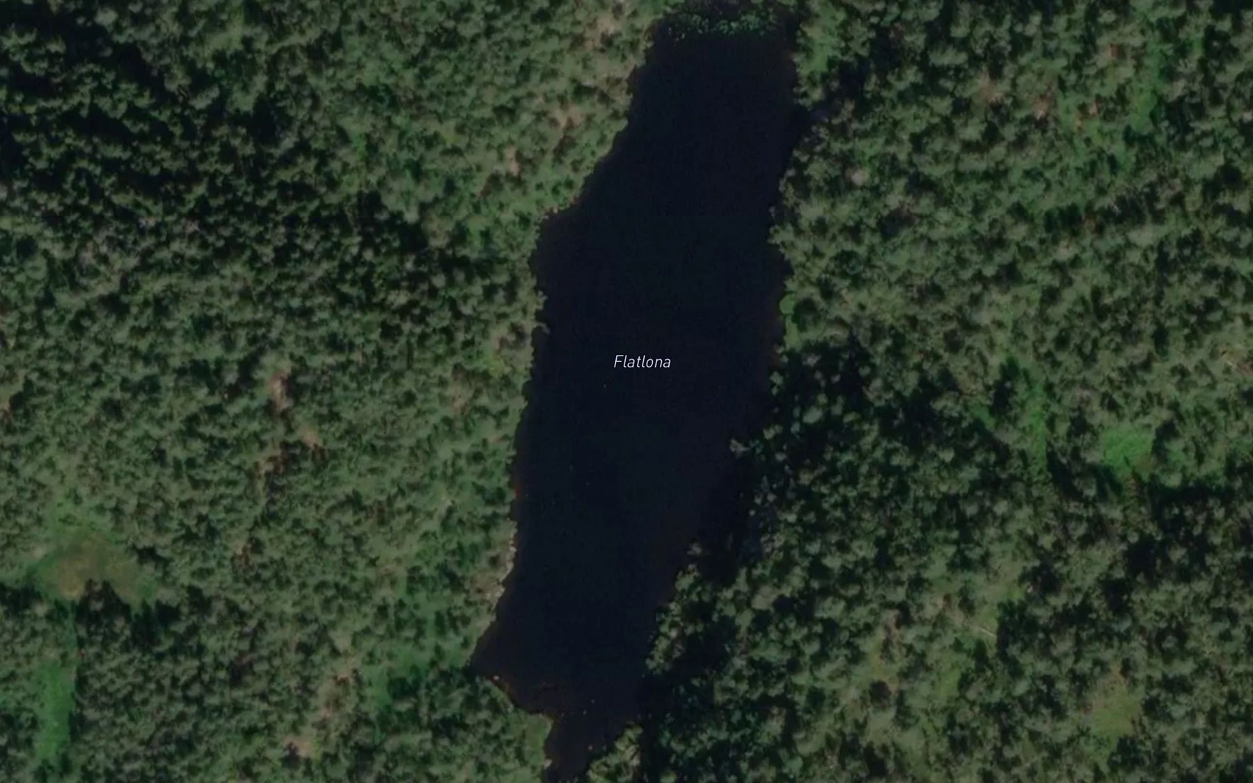 Satellite map of the Flatlona