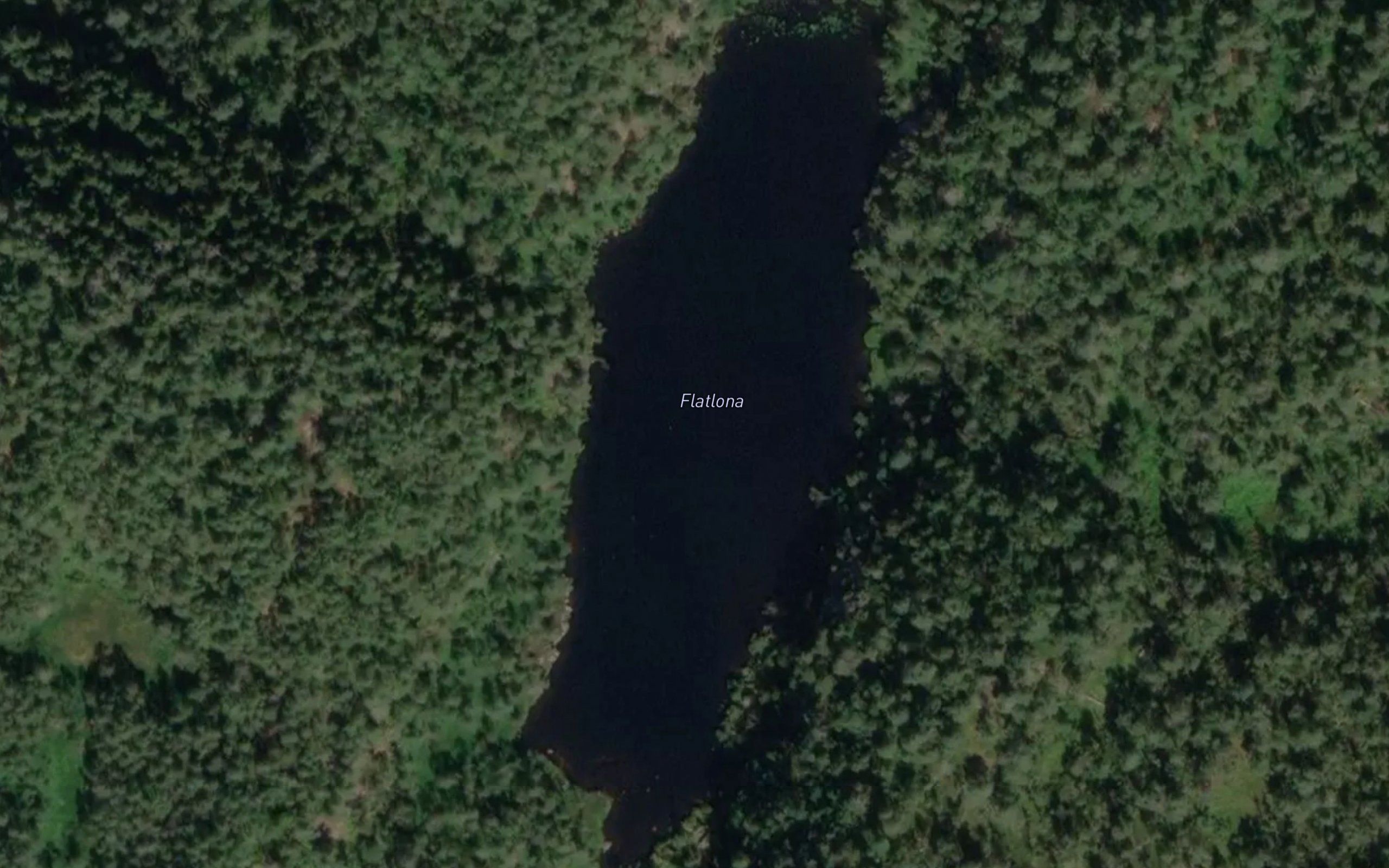 Flatlona
