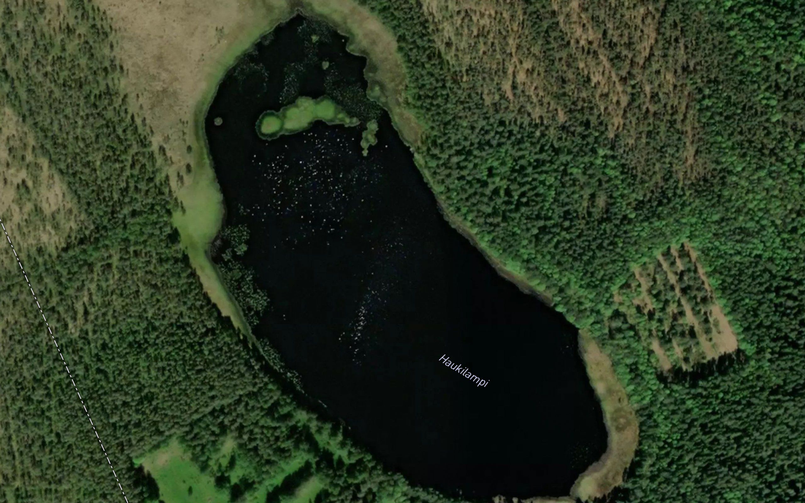 Haukilampi