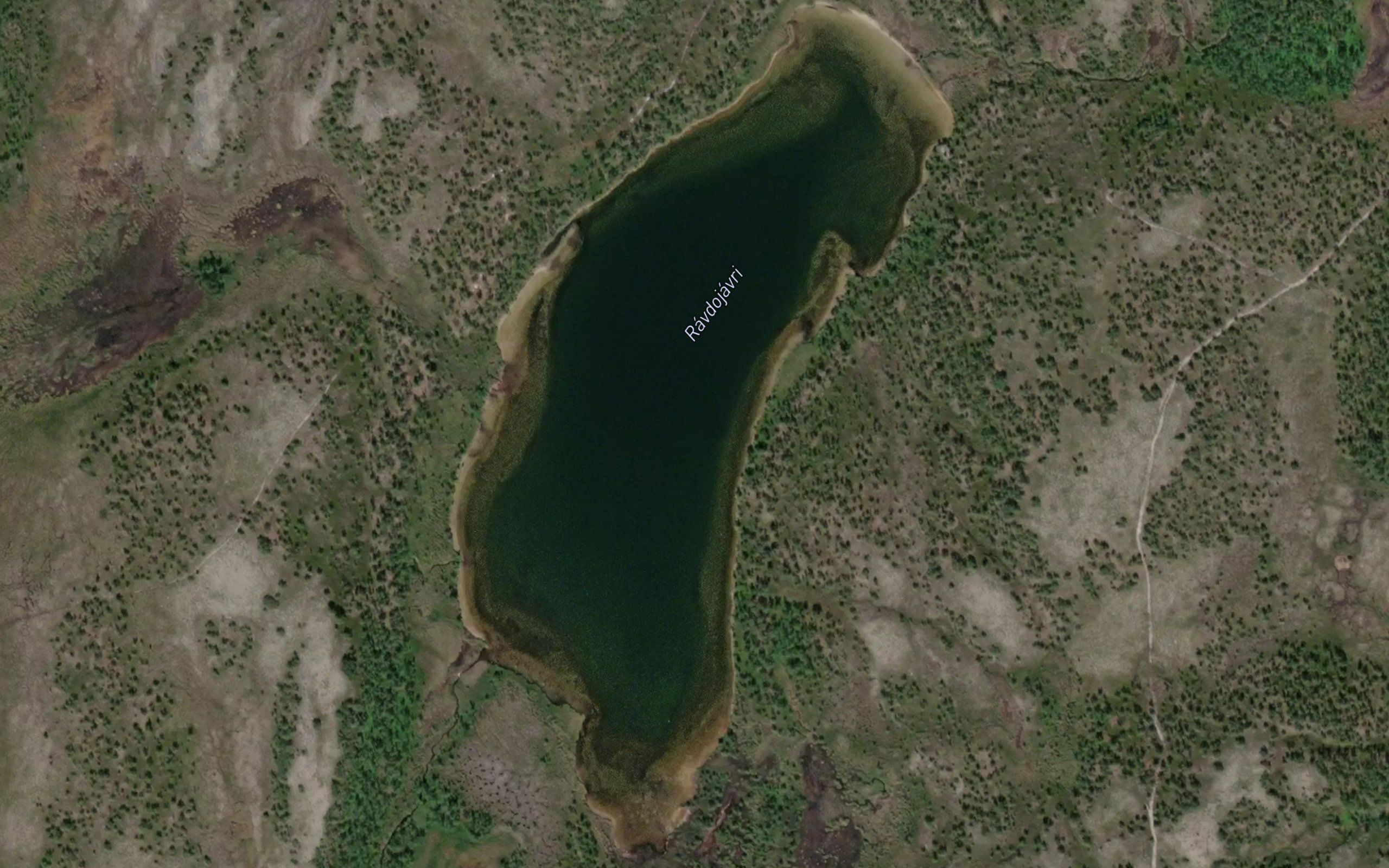 Ravdujavri