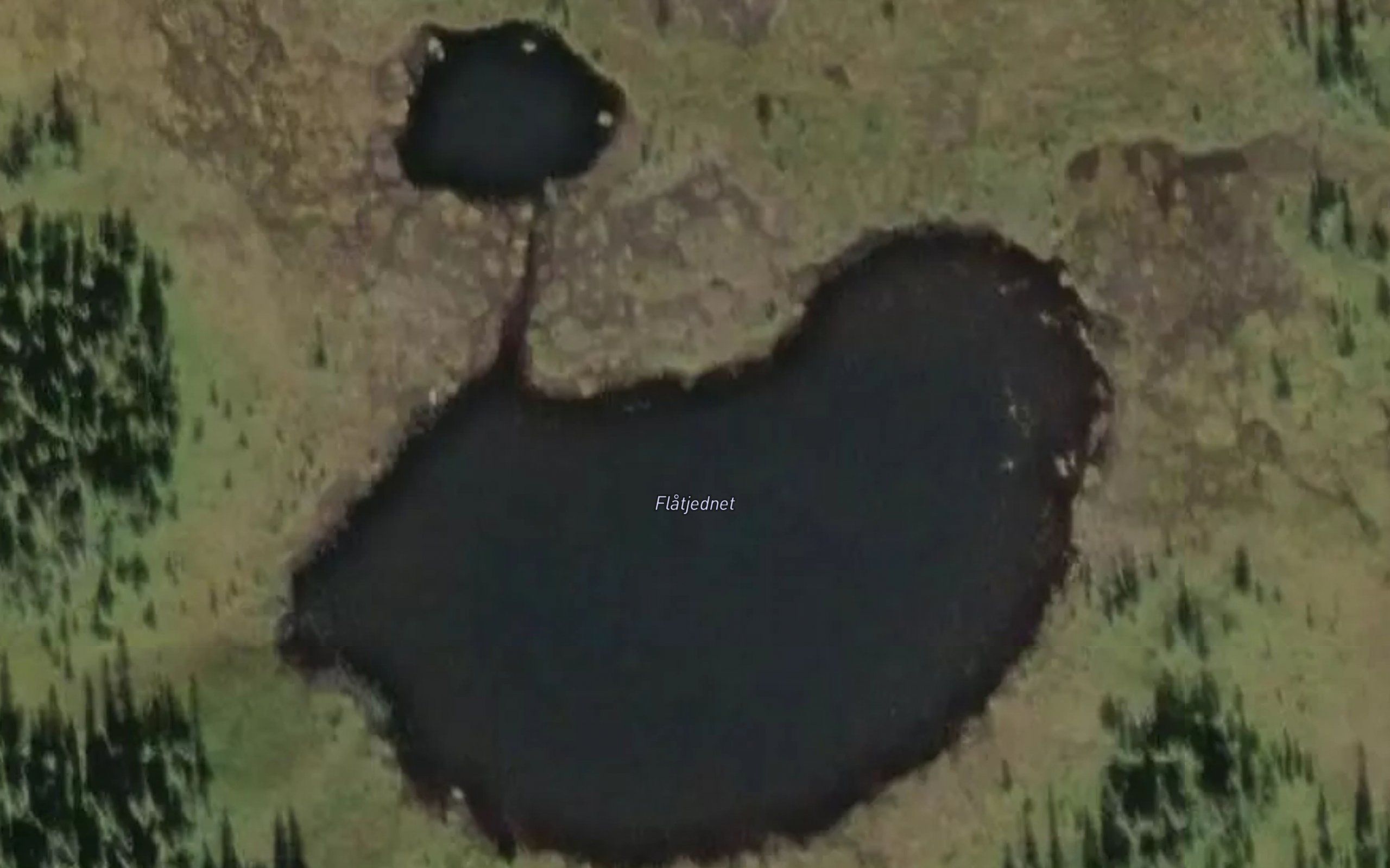 Flatjernet
