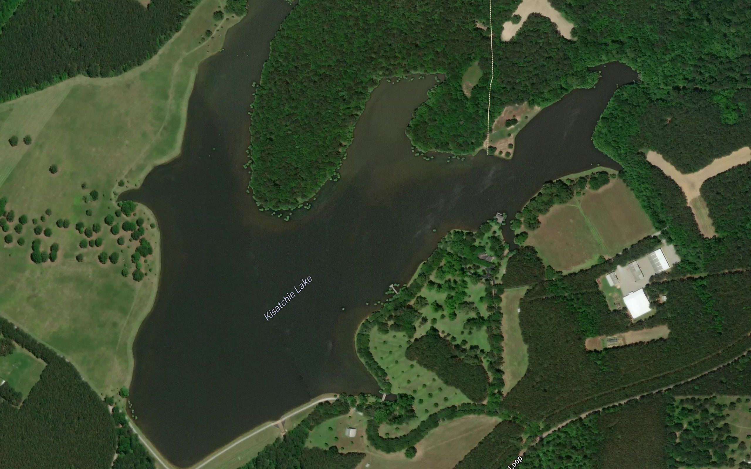 Kisatchie Lake