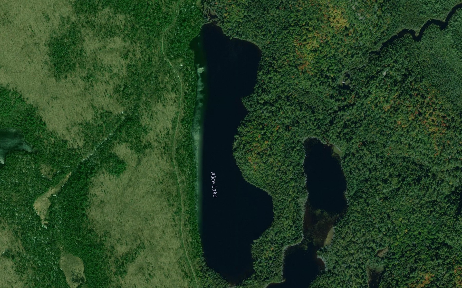 Satellite map of the Alice Lake