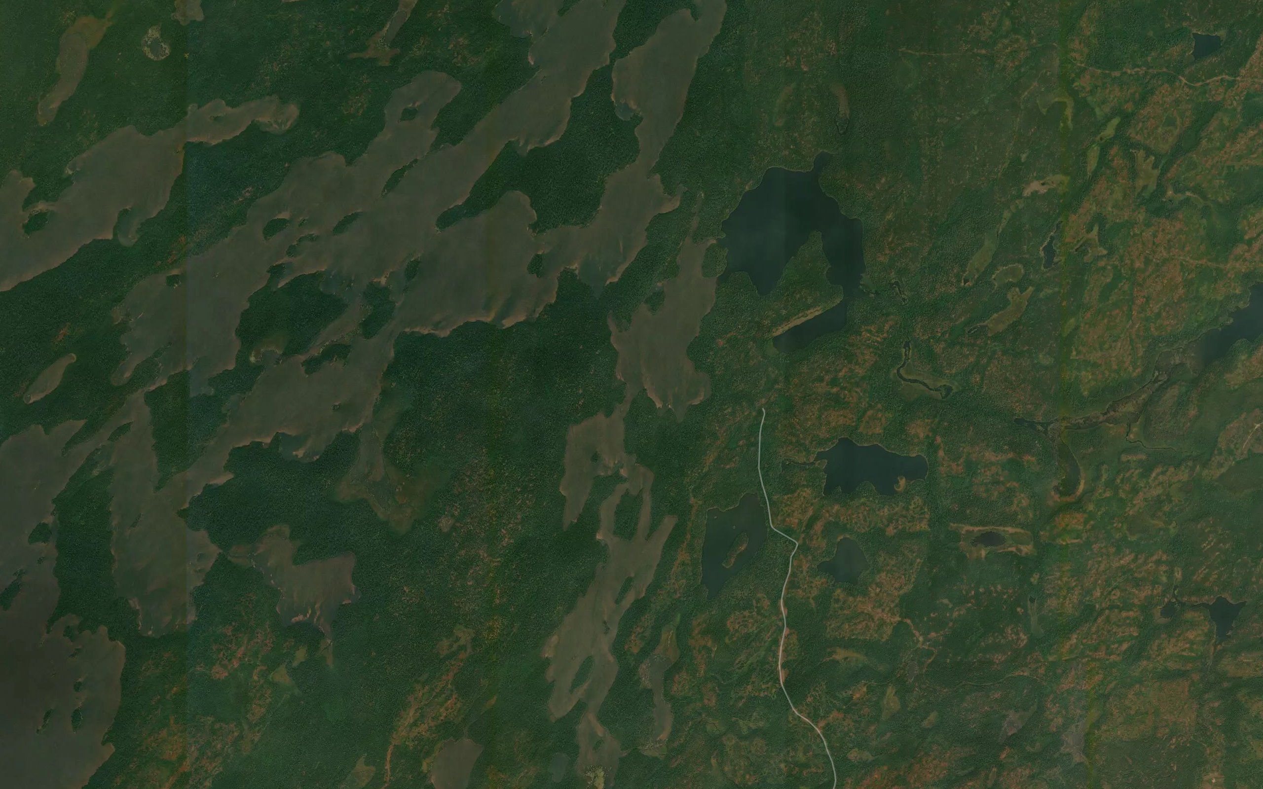 Cane Lake