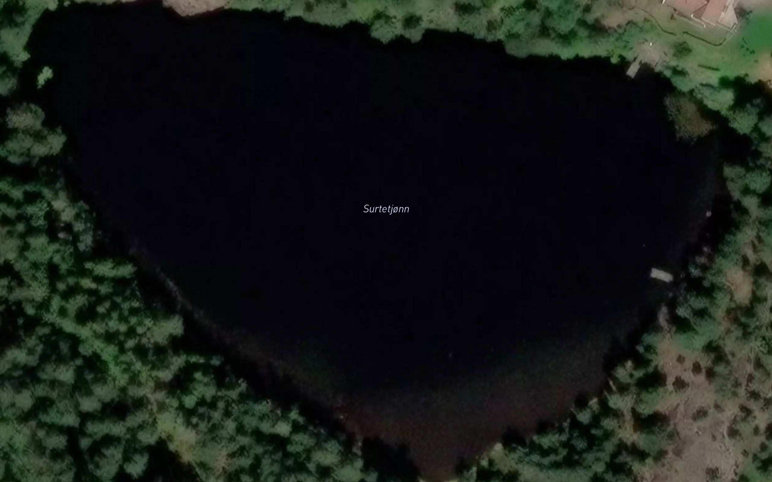 Surtetjonn