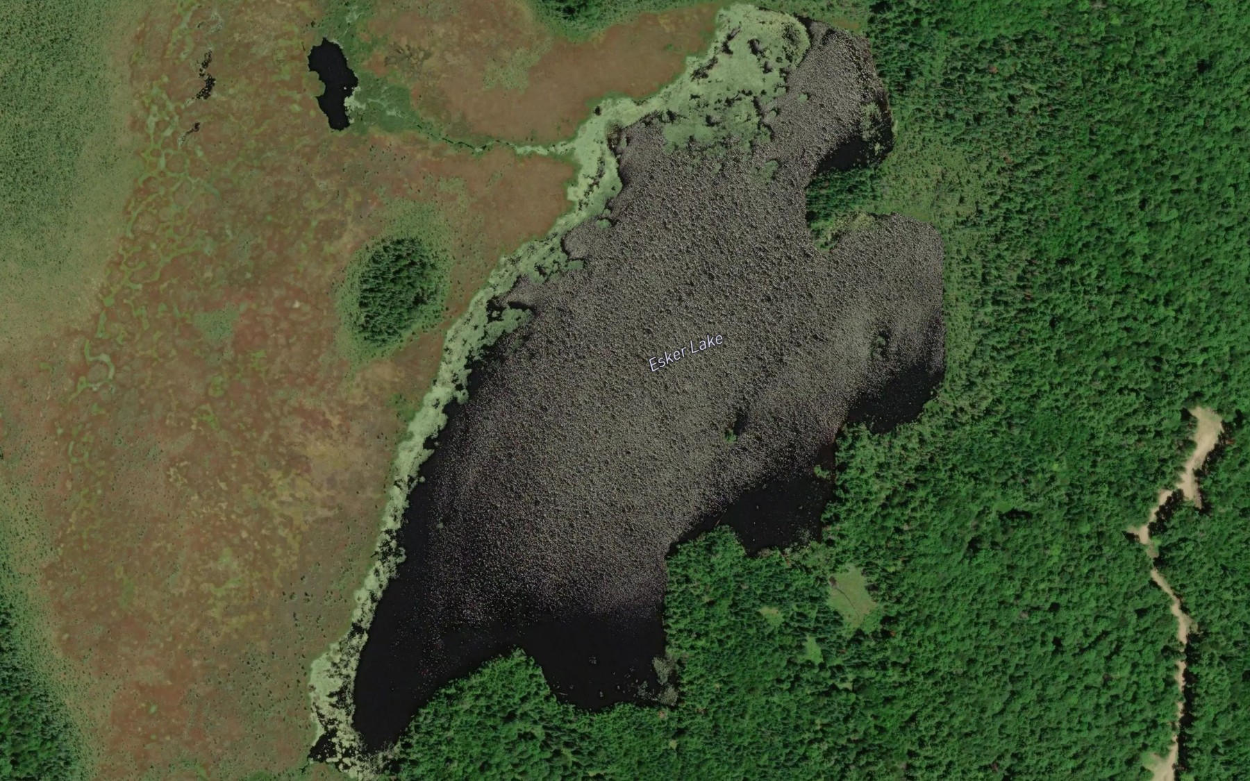 Satellite map of the Esker Lake