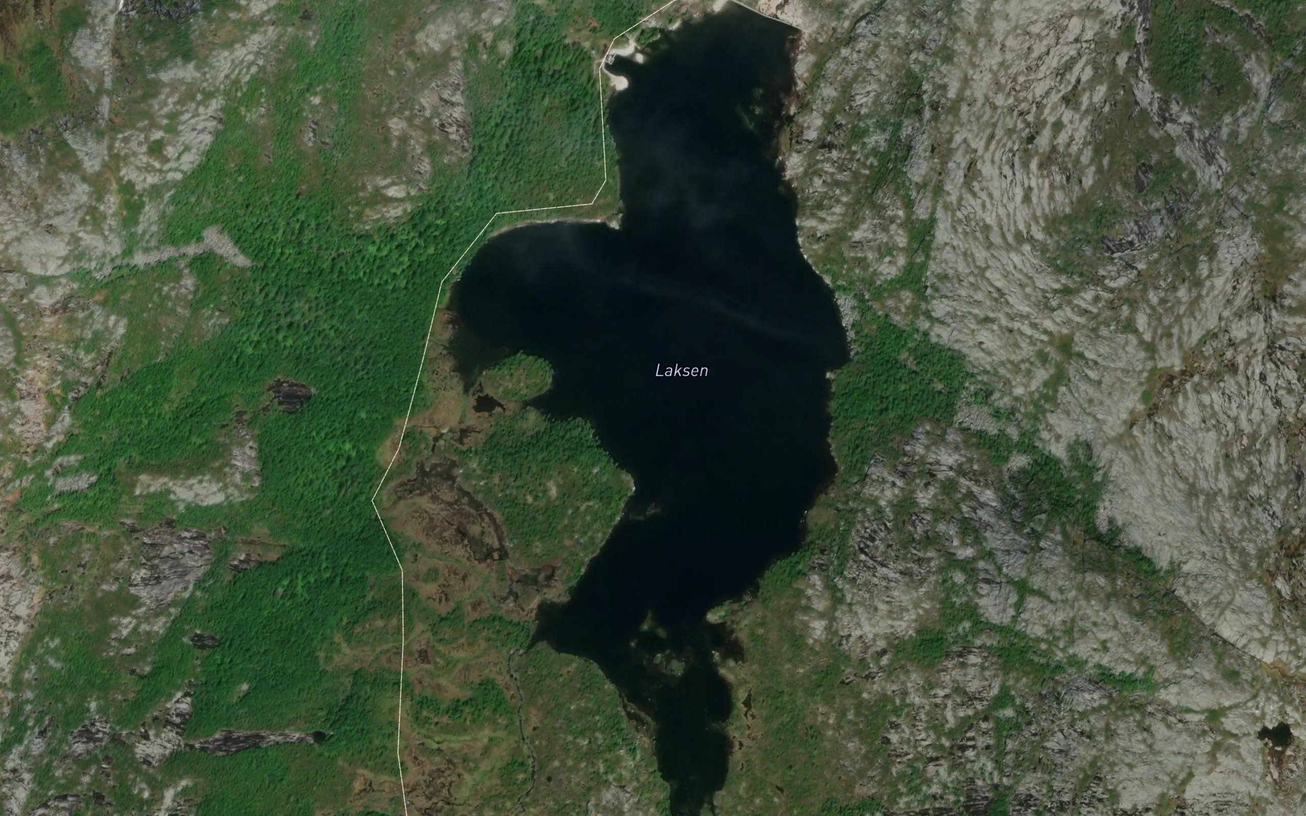 Laksen