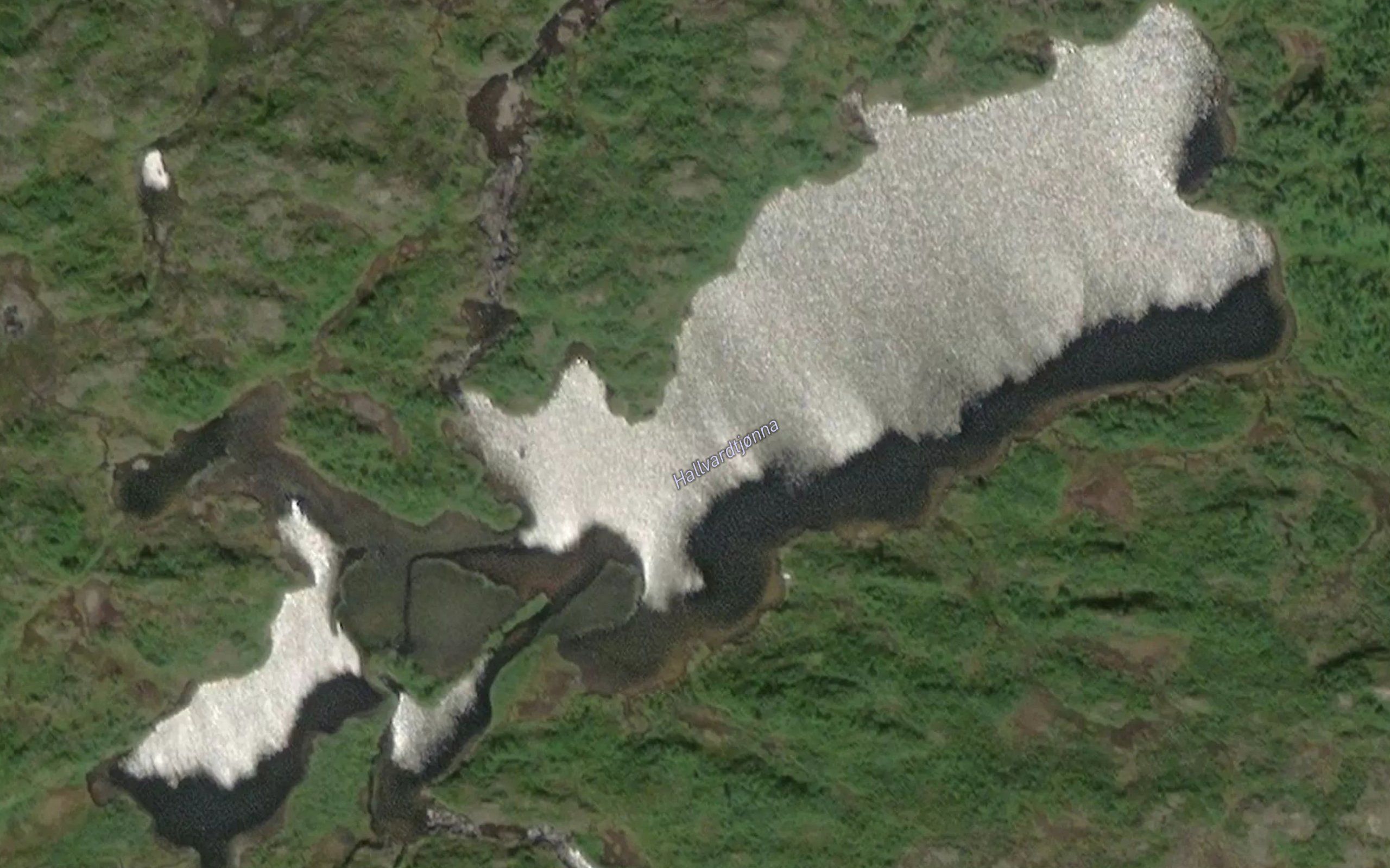 Hallvardtjorna