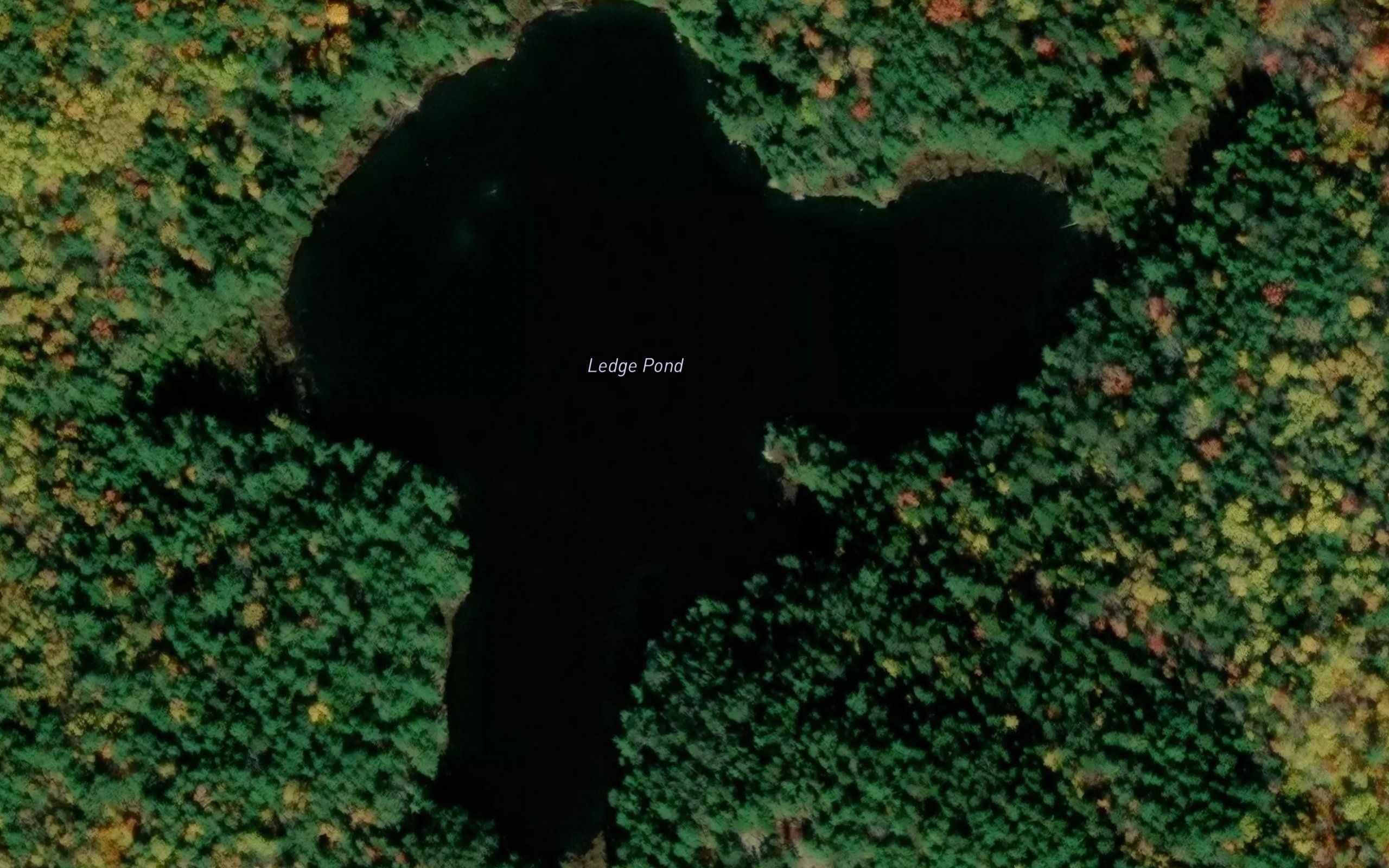 Ledge Pond