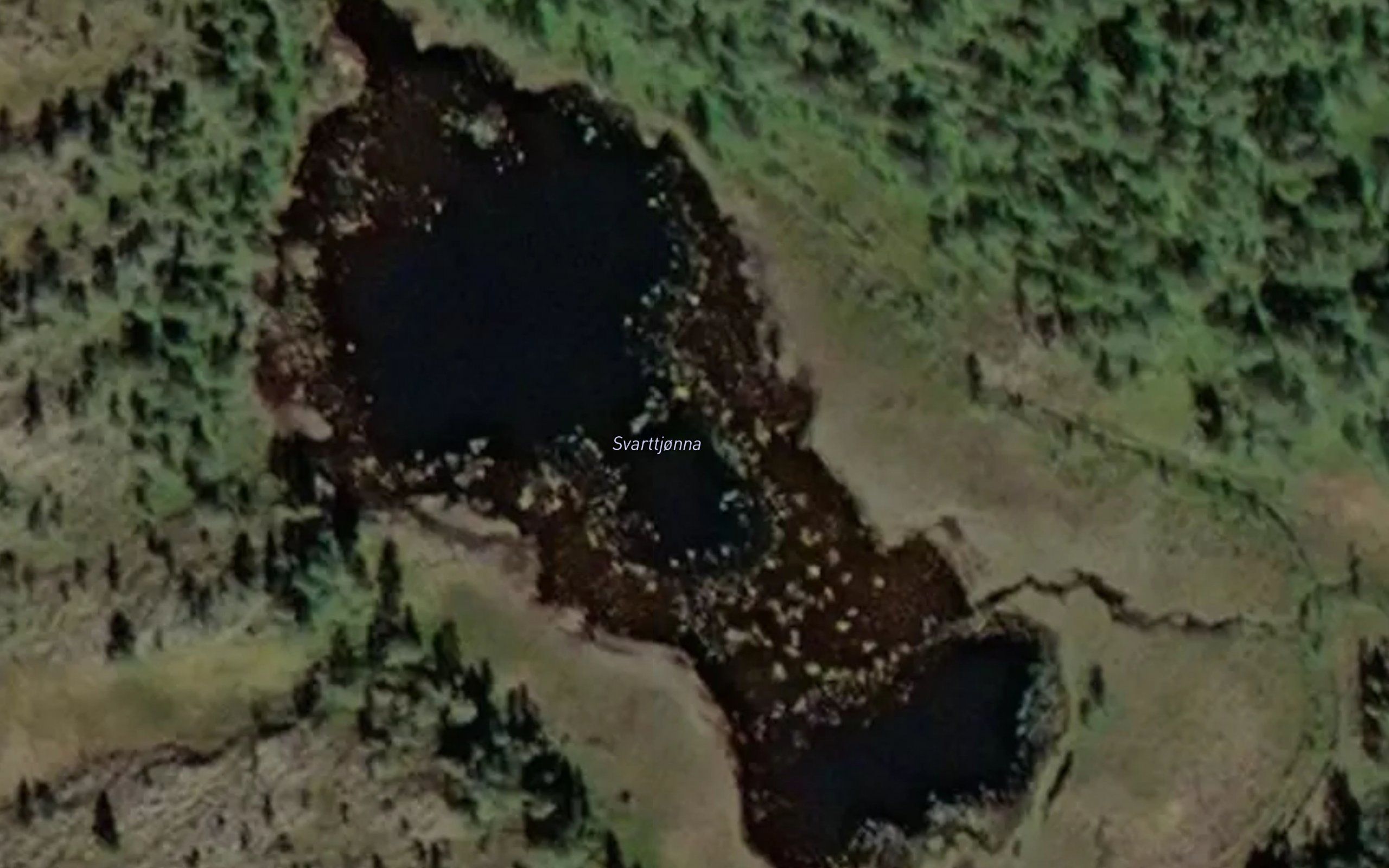 Svarttjorna