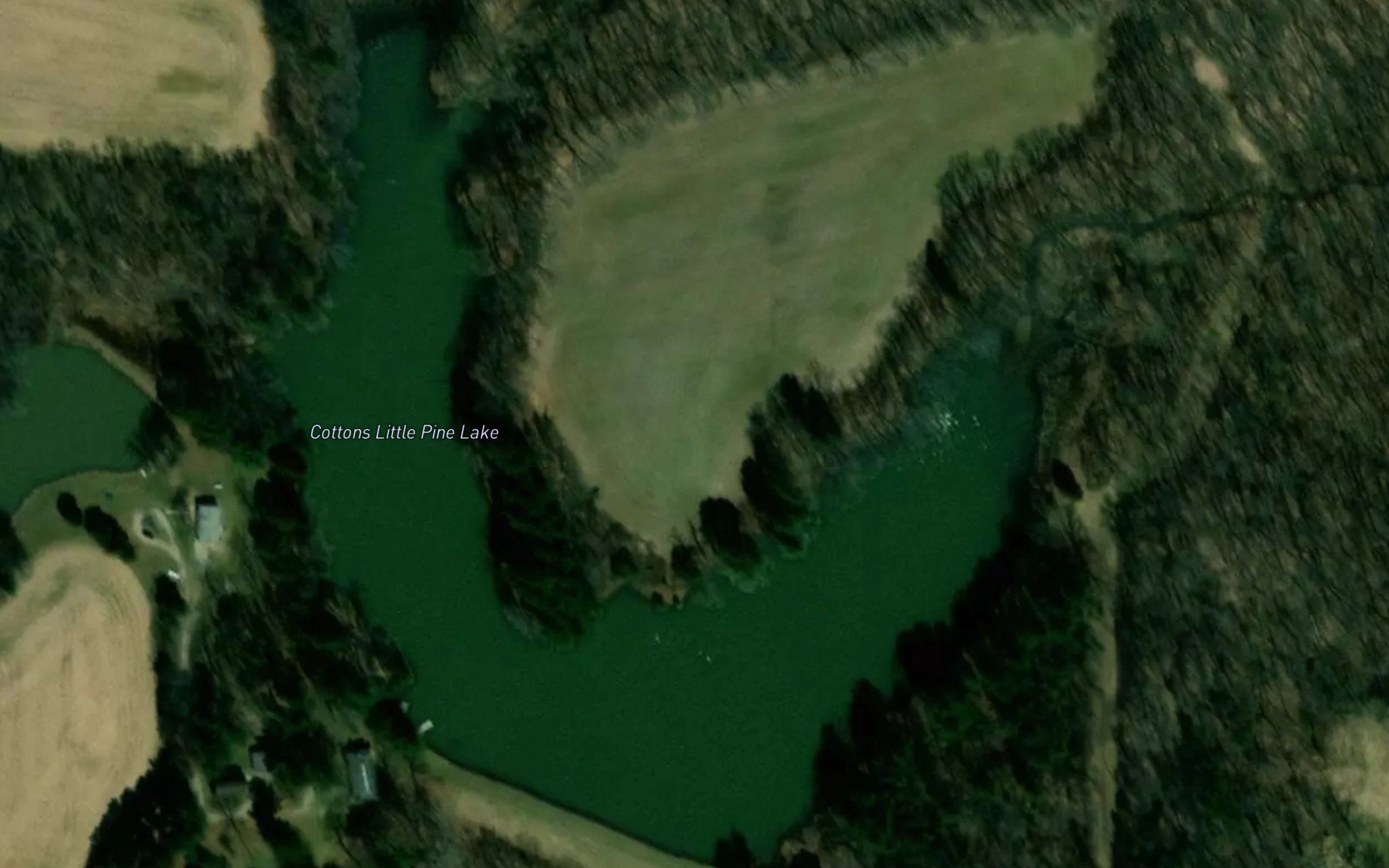 Cottons Little Pine Lake