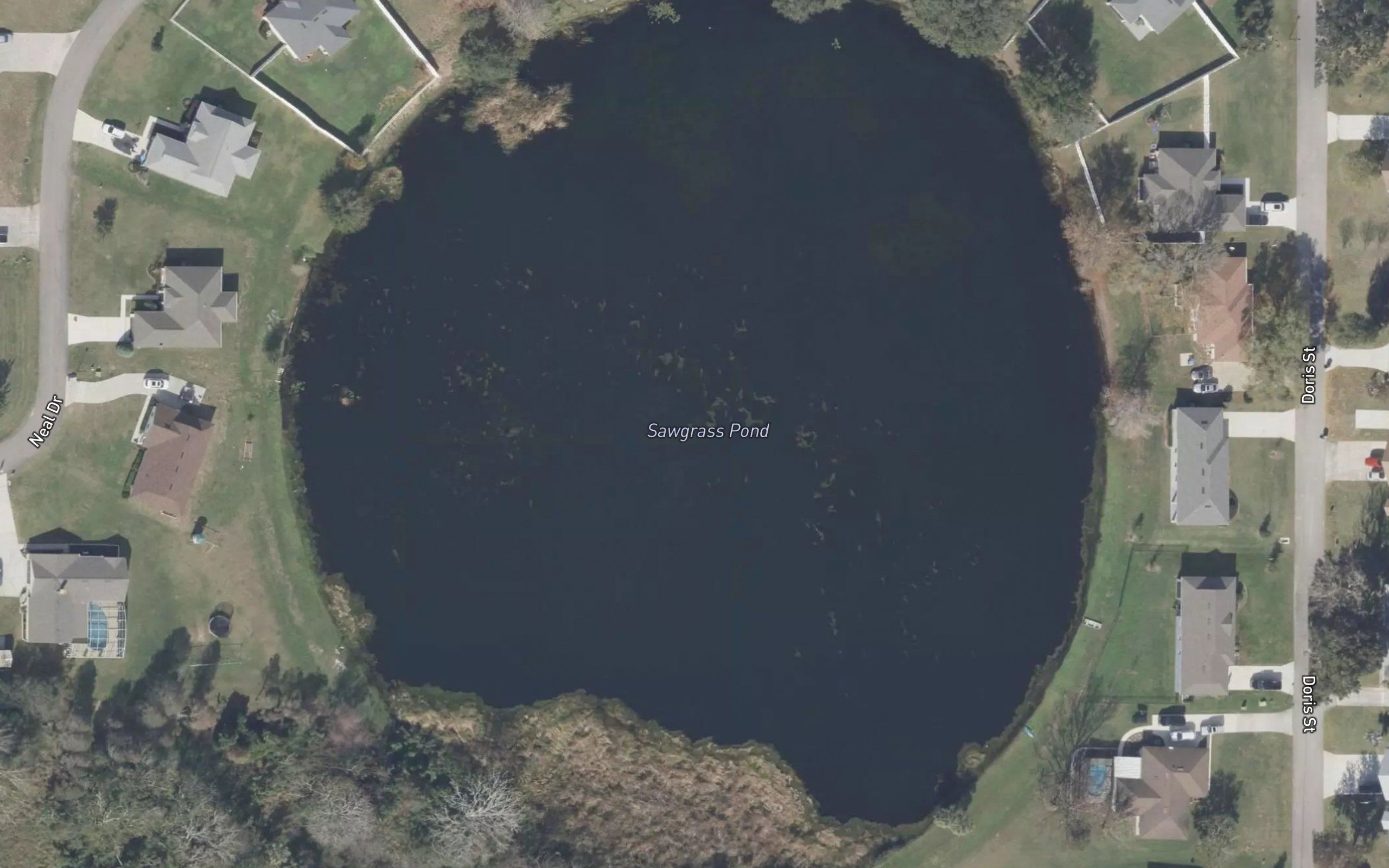 Sawgrass Pond