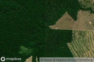 Igarape Braco Direito do Jutuarana