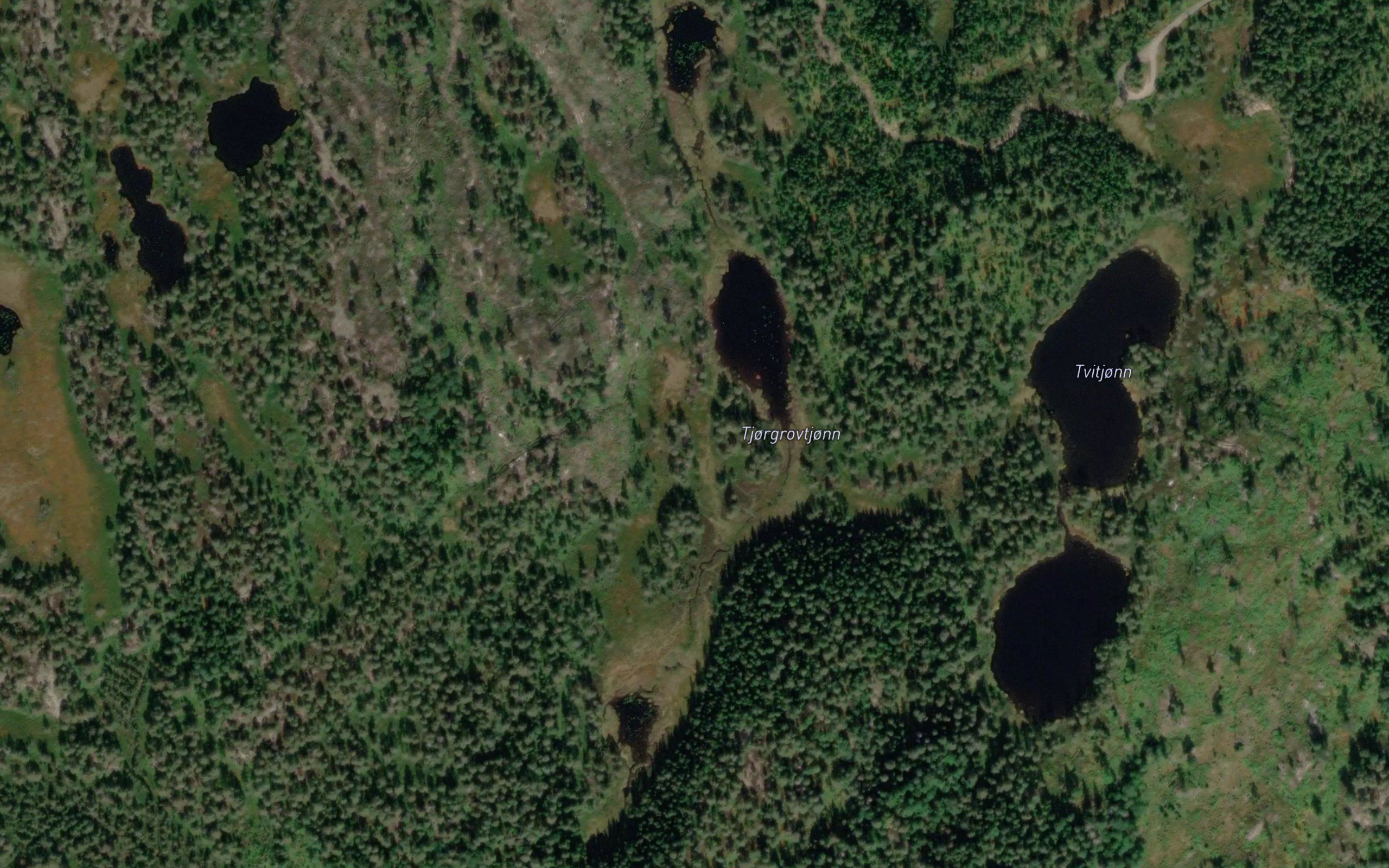 Tjorgrovtjonn