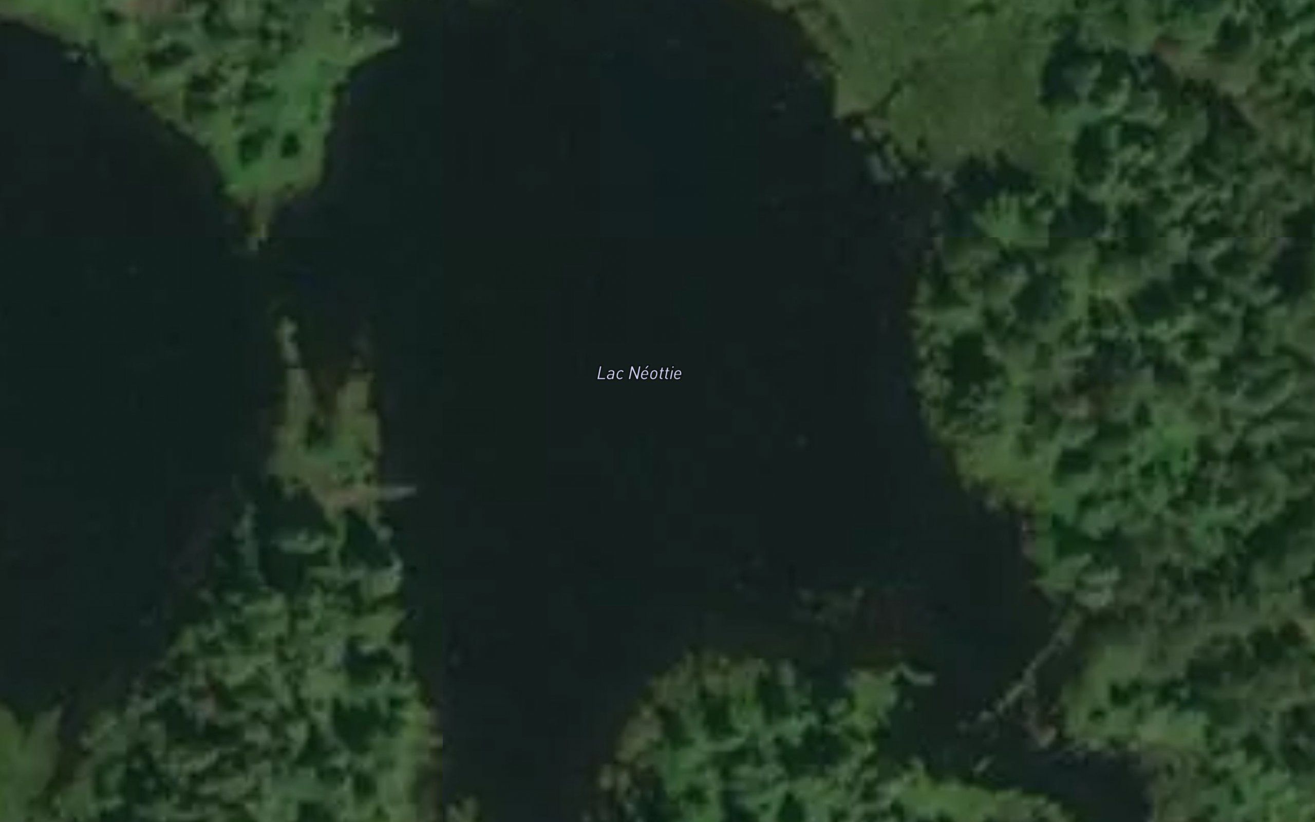 Lac Neottie
