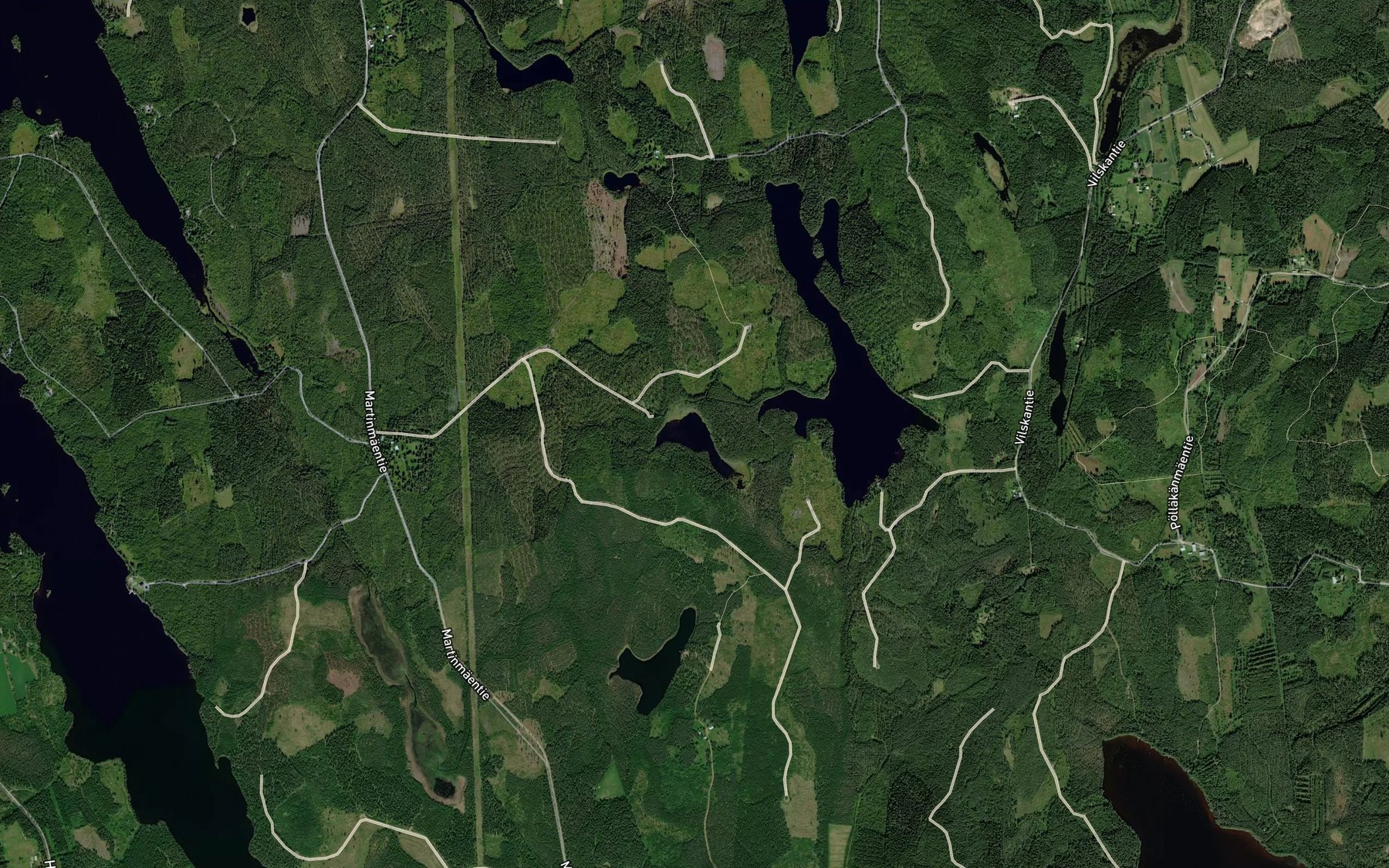 Satellite map of the Panttarinlampi