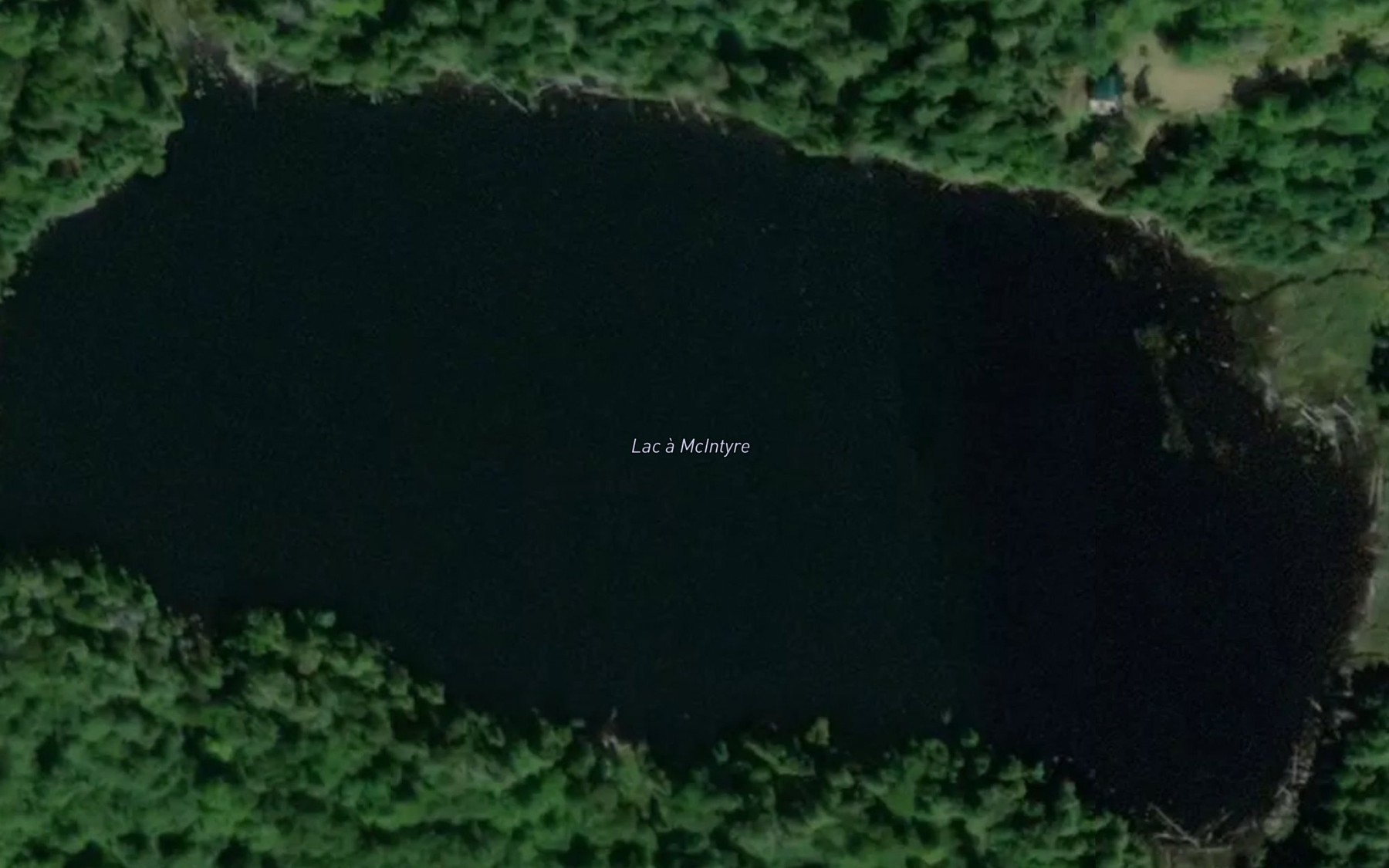 Satellite map of the Lac a McIntyre