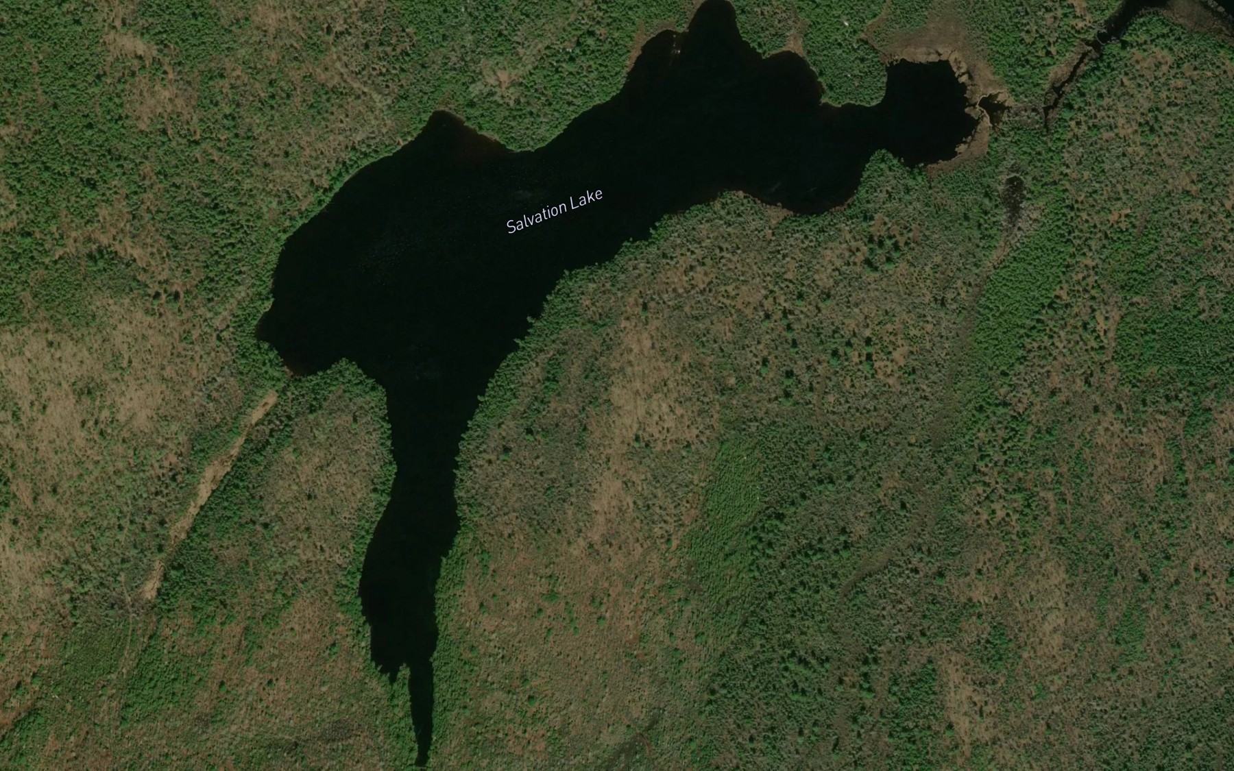 Satellite map of the Salvation Lake