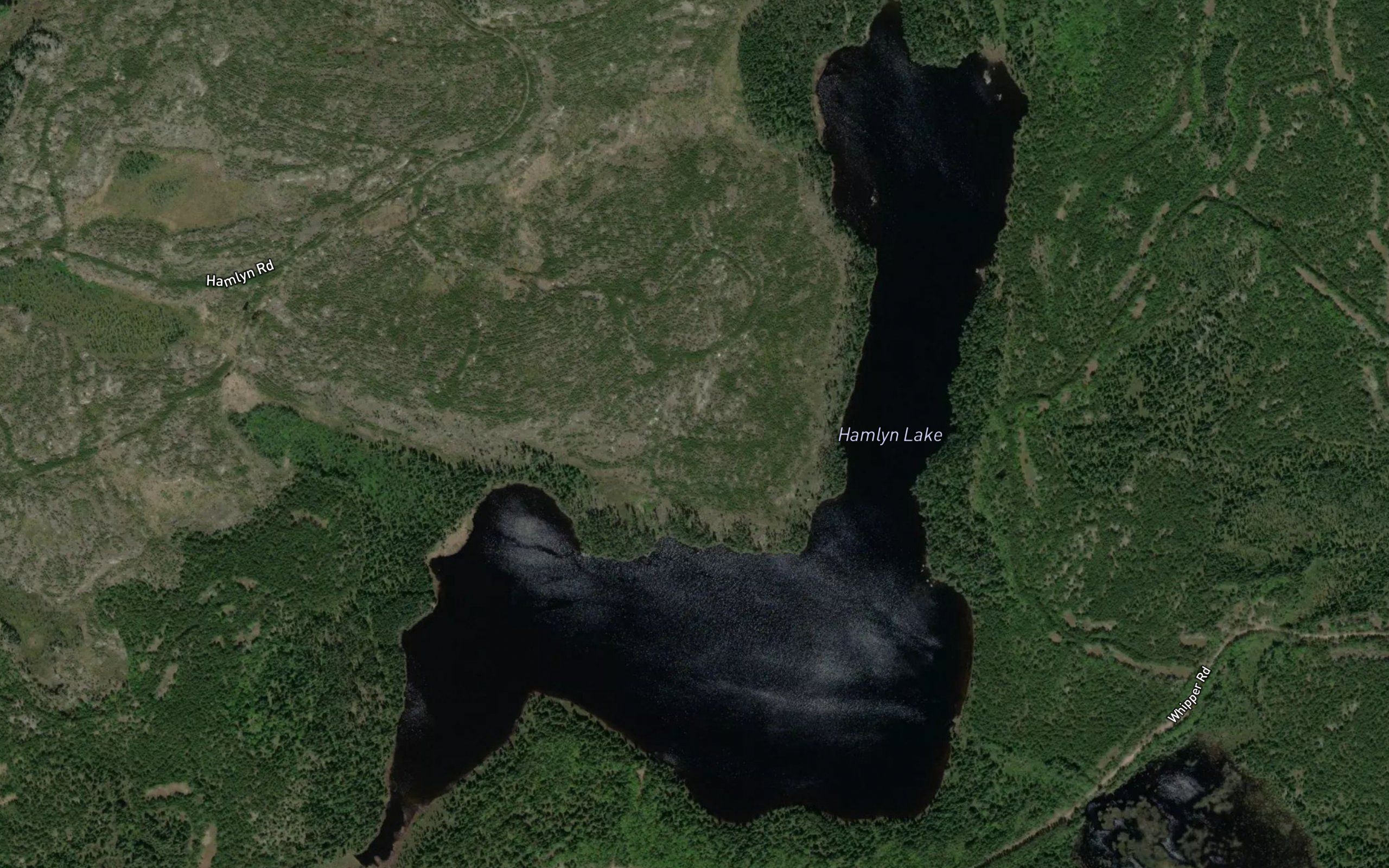 Hamlyn Lake