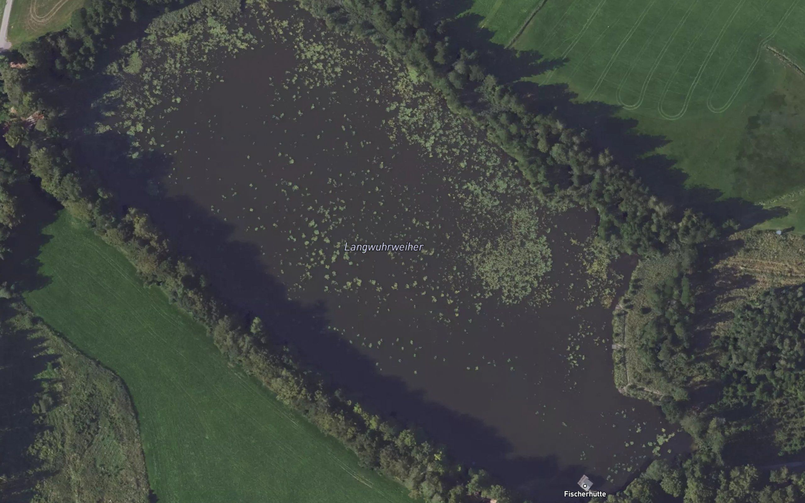 Langwuhrweiher