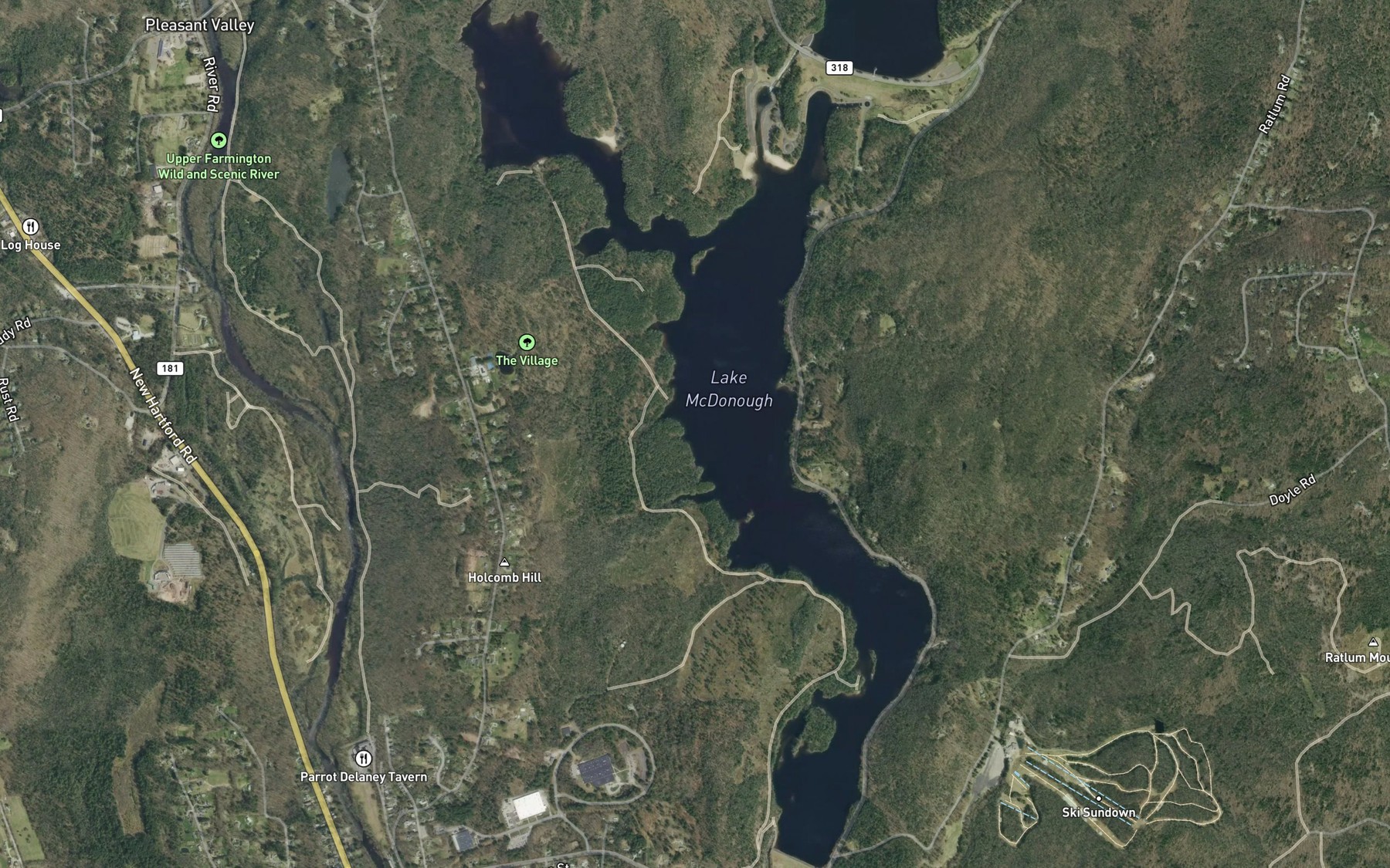Satellite map of the Lake Mc Donough
