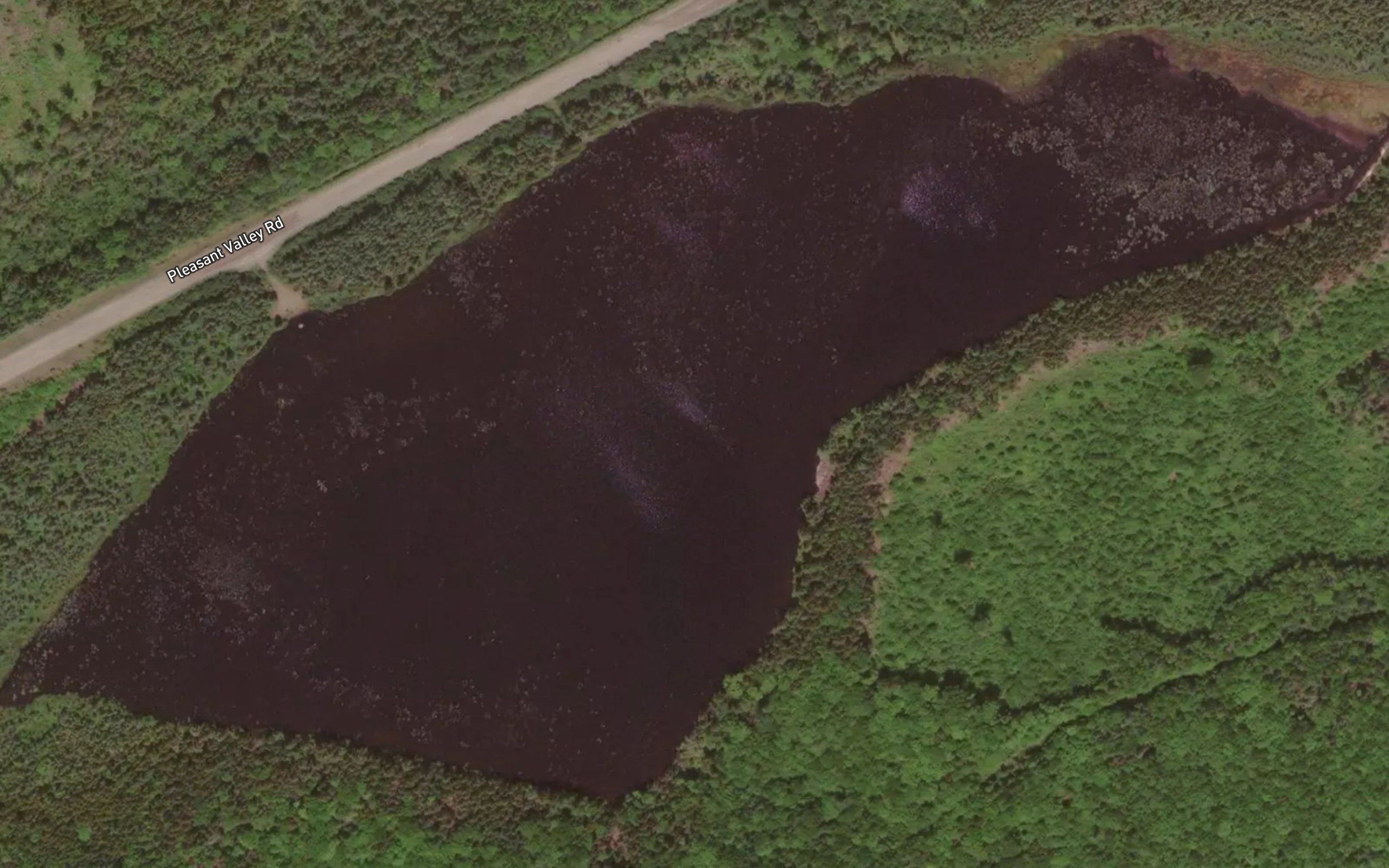 Farnell Lake