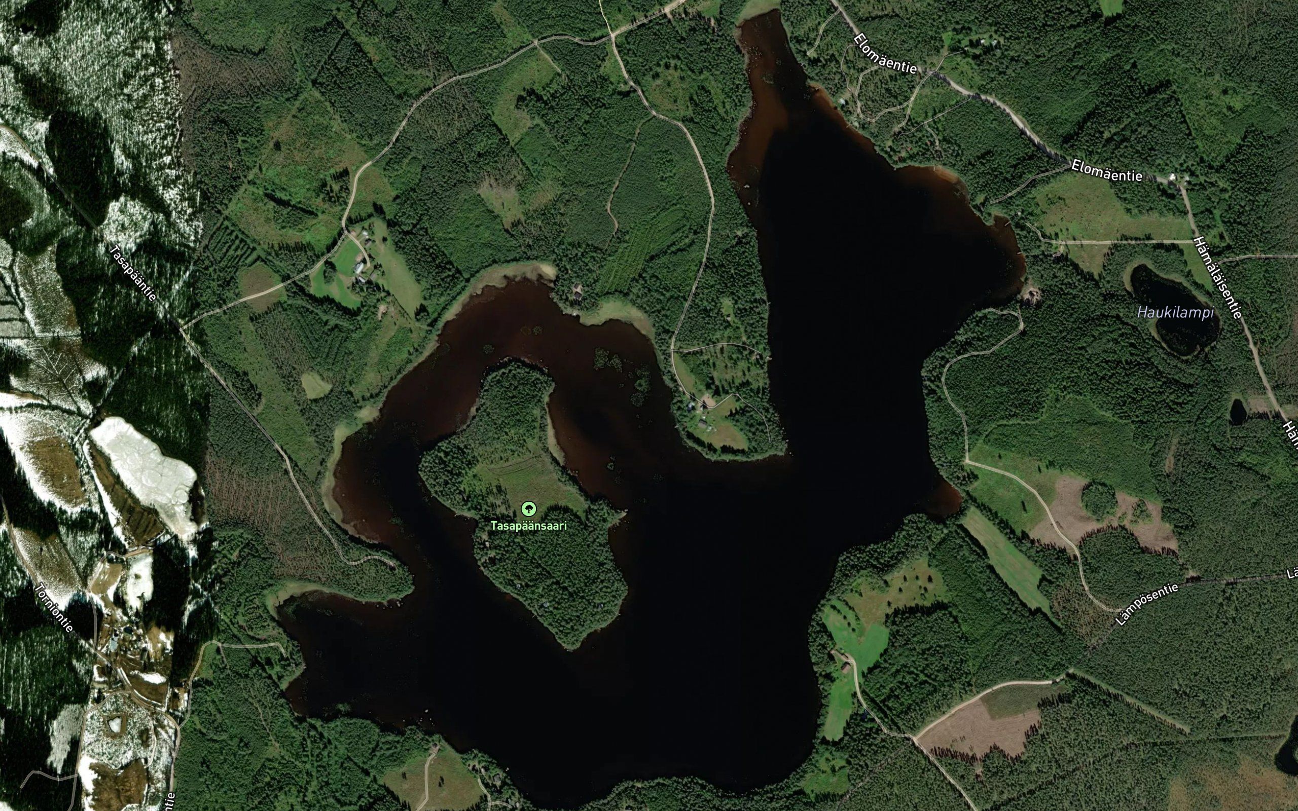 Rapalahti