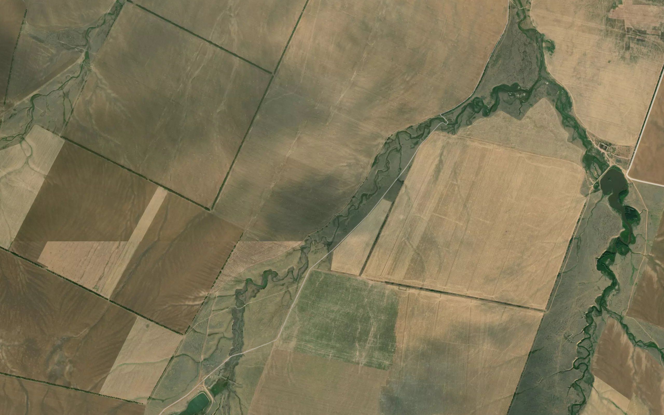 Balka Ternovaya