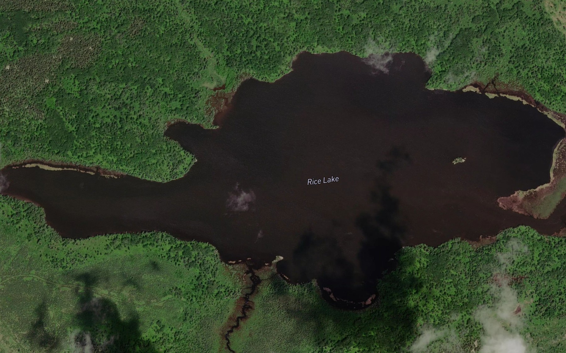 Satellite map of the Rice Lake