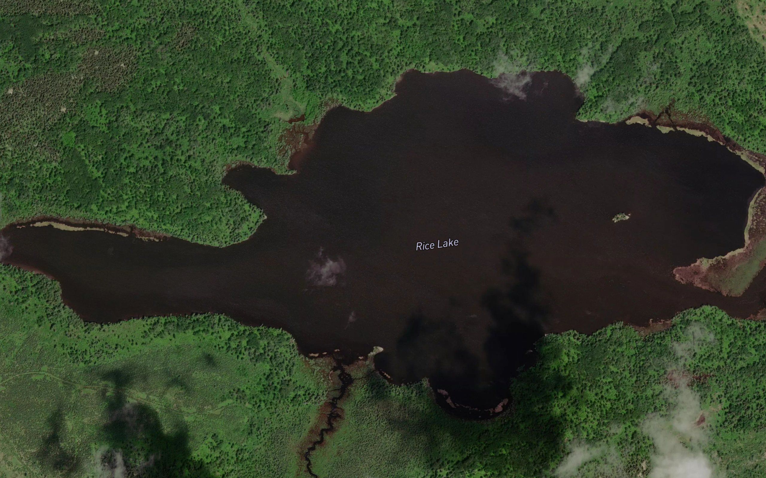Rice Lake