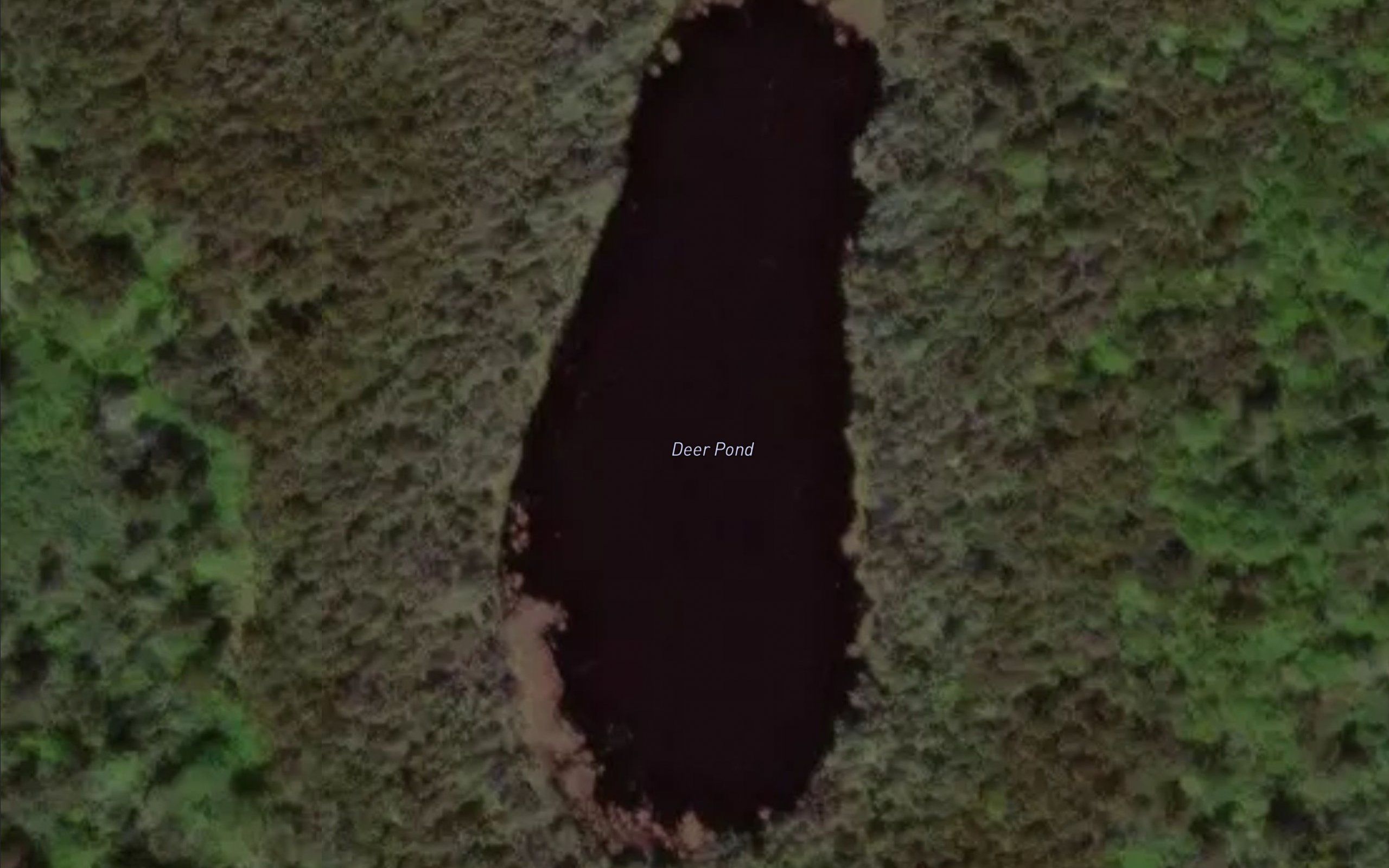 Deer Pond