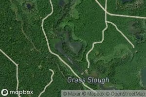 Grass Lake