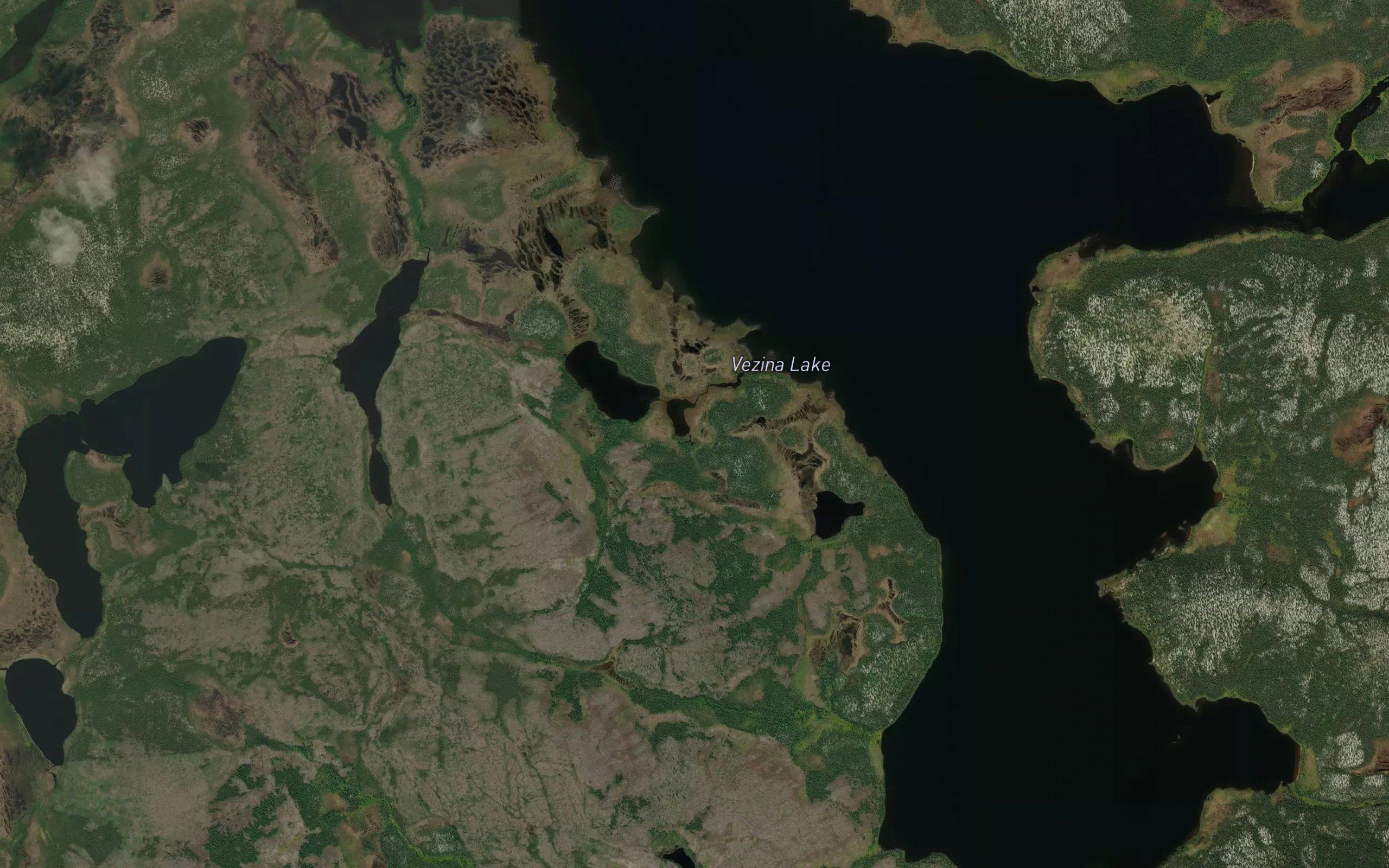 Vezina Lake