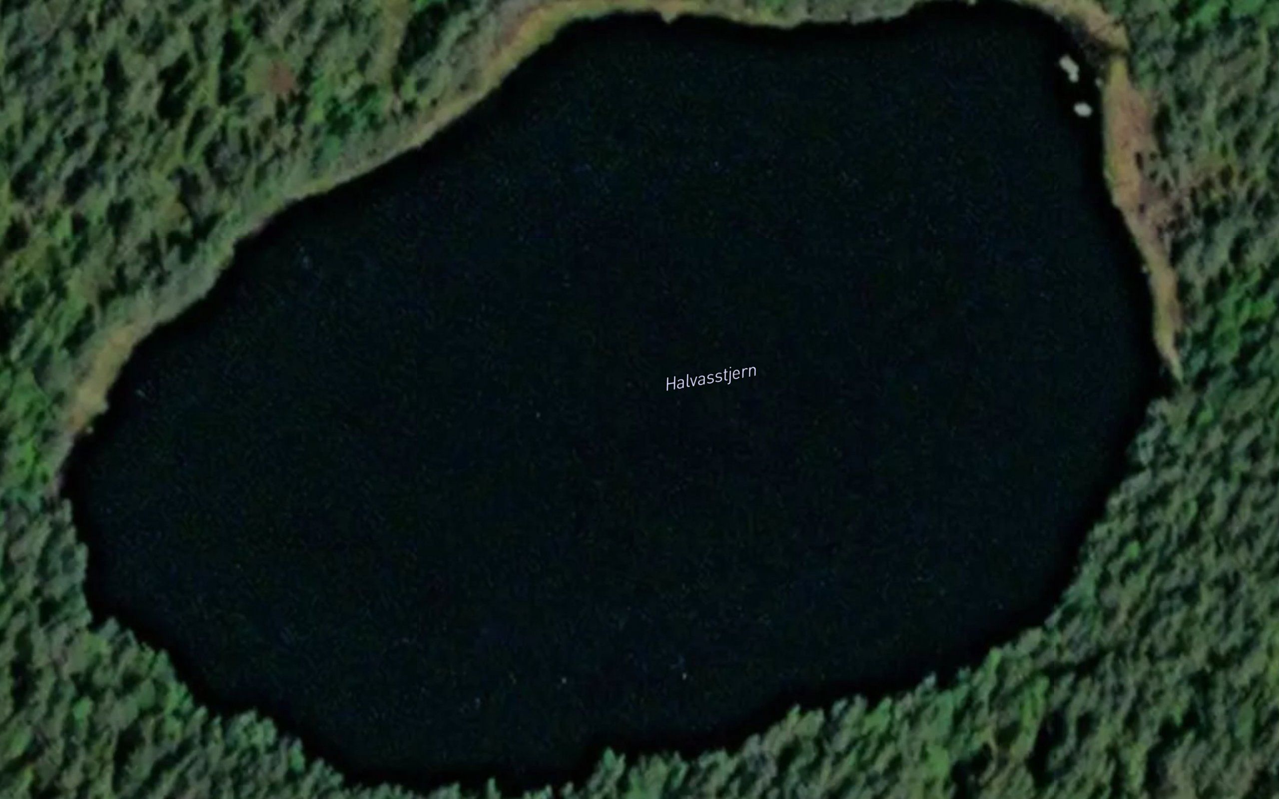 Halvvadstjern