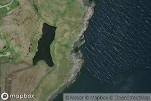 Naustvika