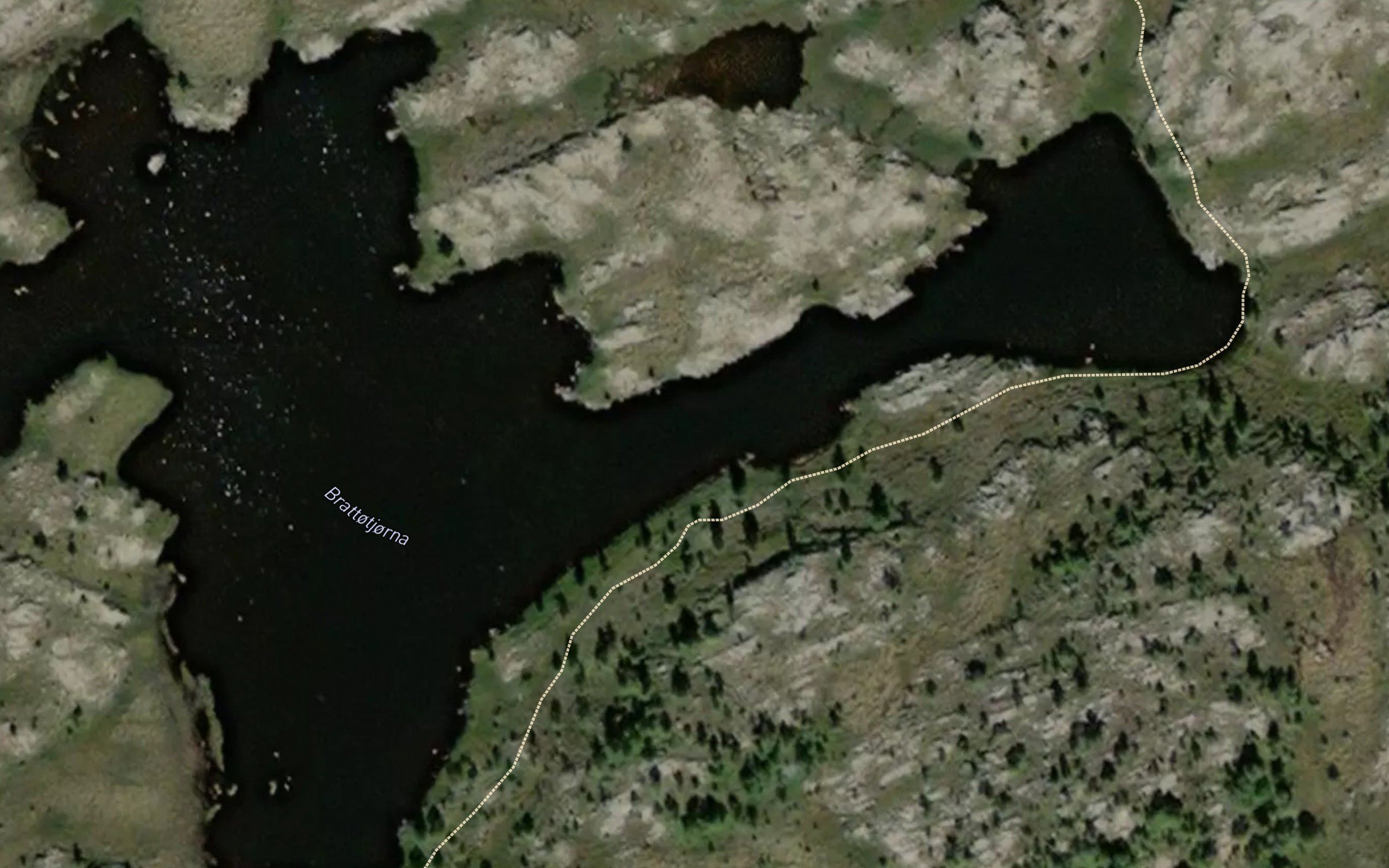 Brattatjorna