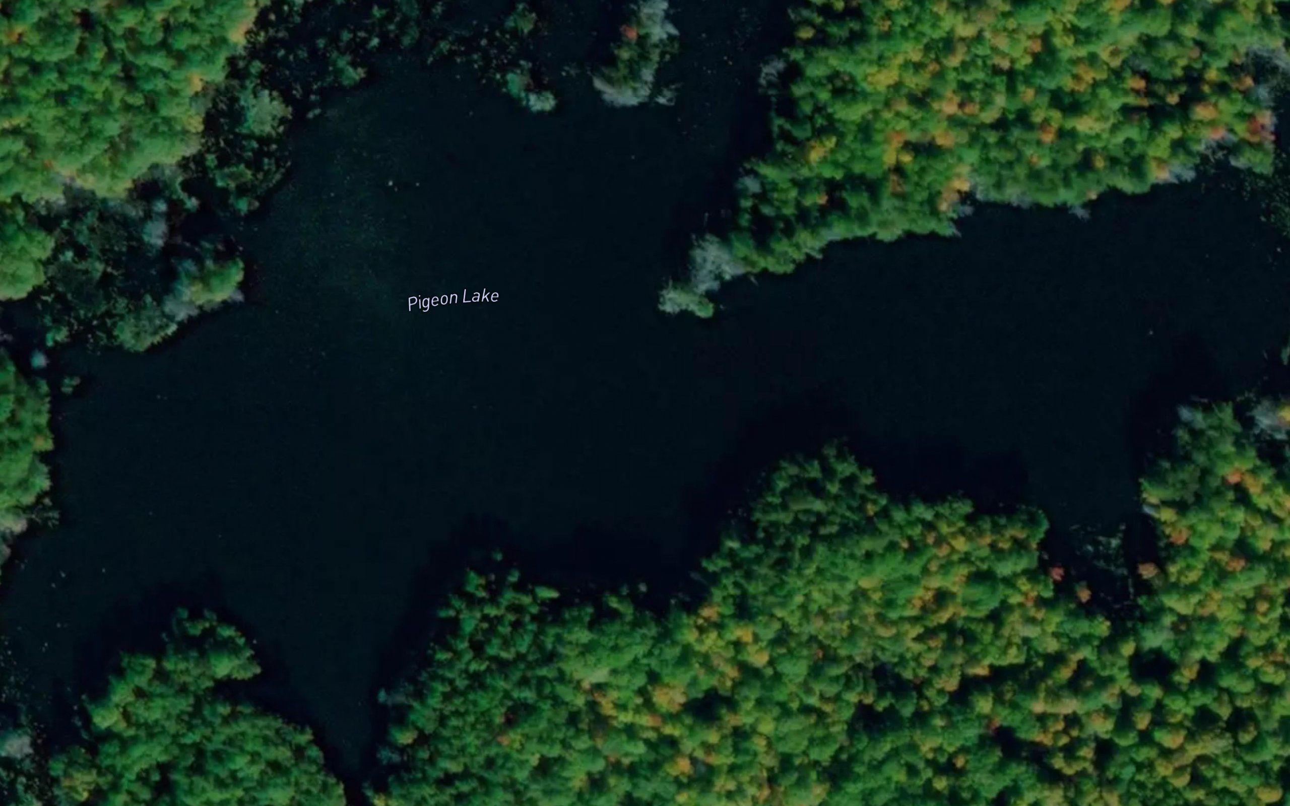 Pigeon Lake