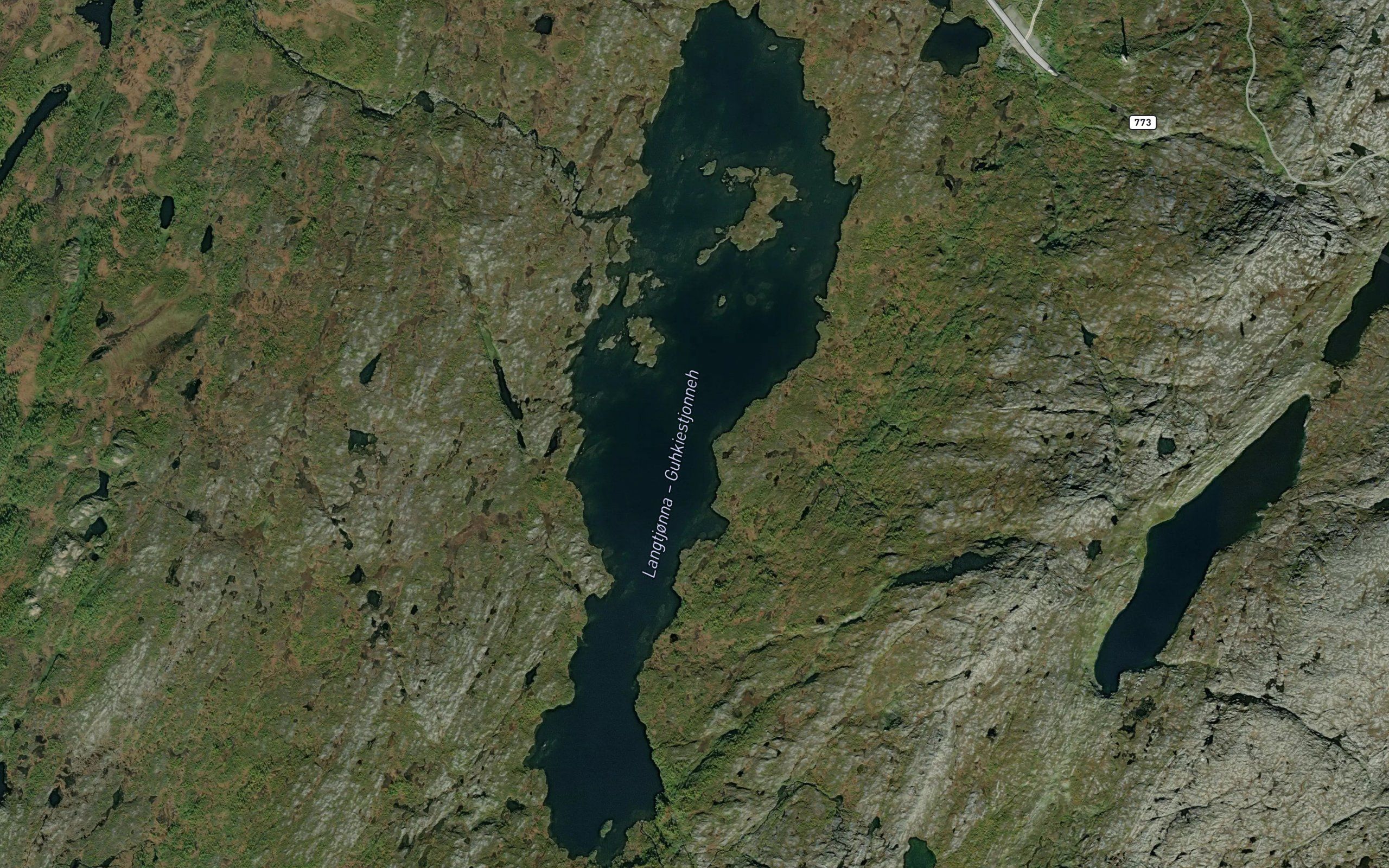 Langtjorna