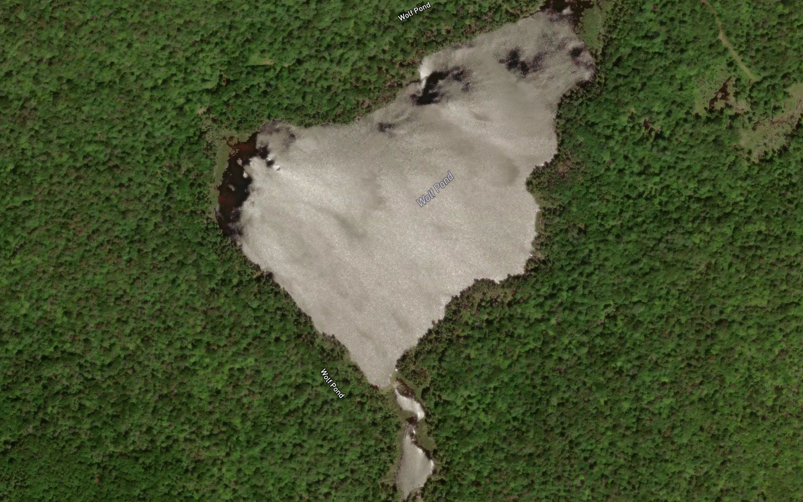 Wolf Pond