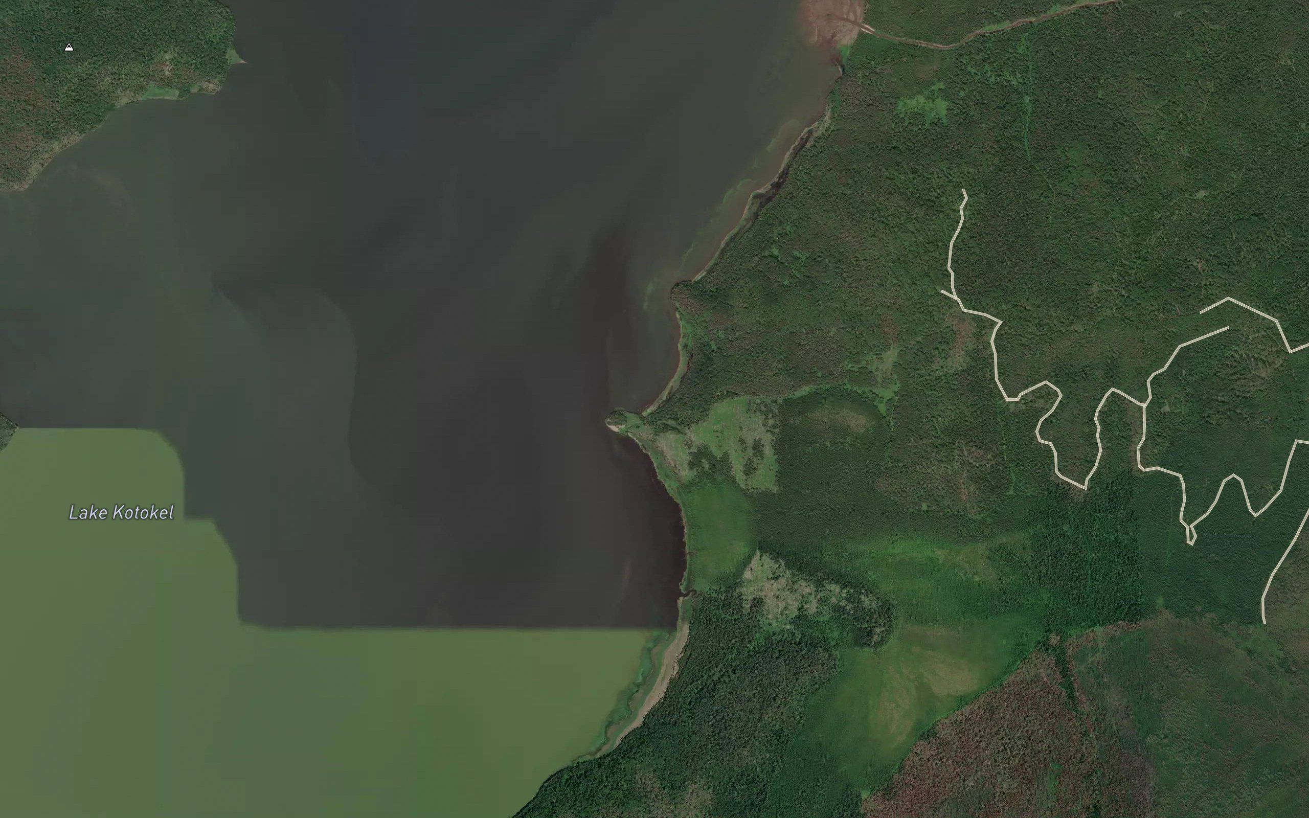 Golaya